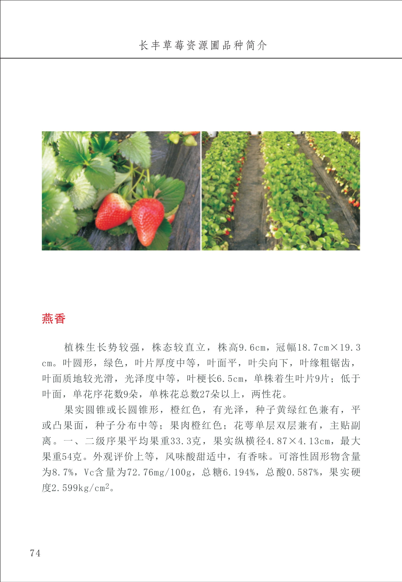 長豐農(nóng)技中心1_78.jpg