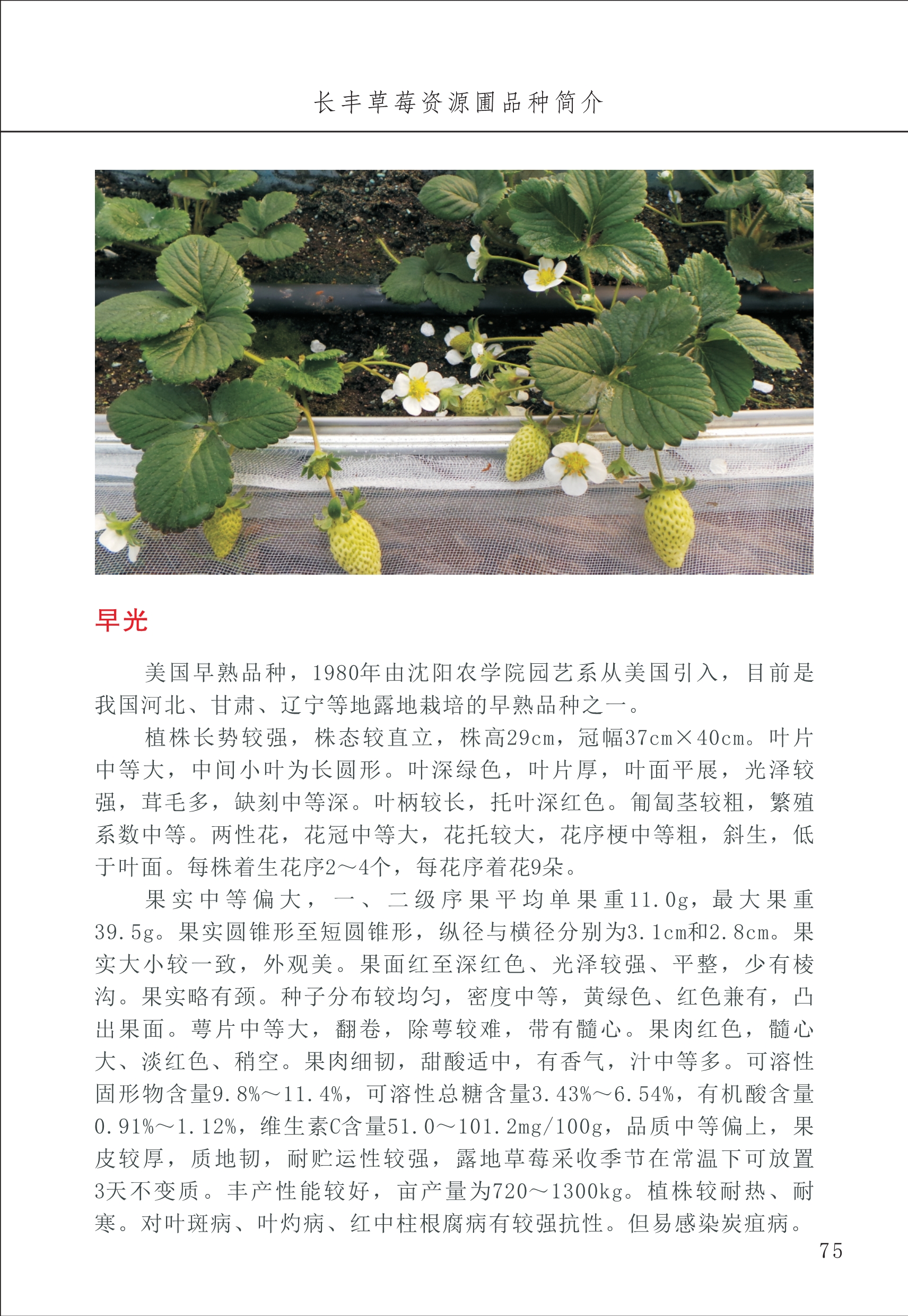 長(zhǎng)豐農(nóng)技中心1_79.jpg
