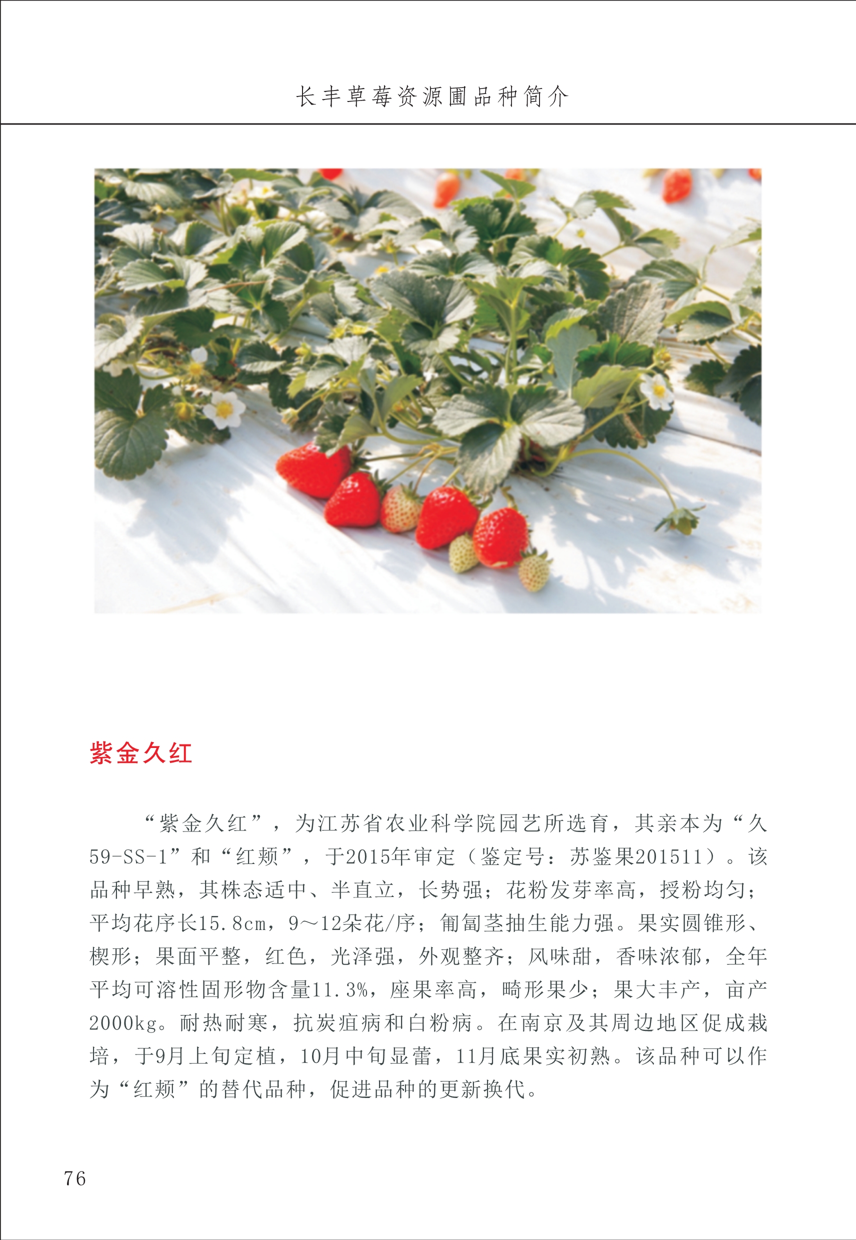 長(zhǎng)豐農(nóng)技中心1_80.jpg