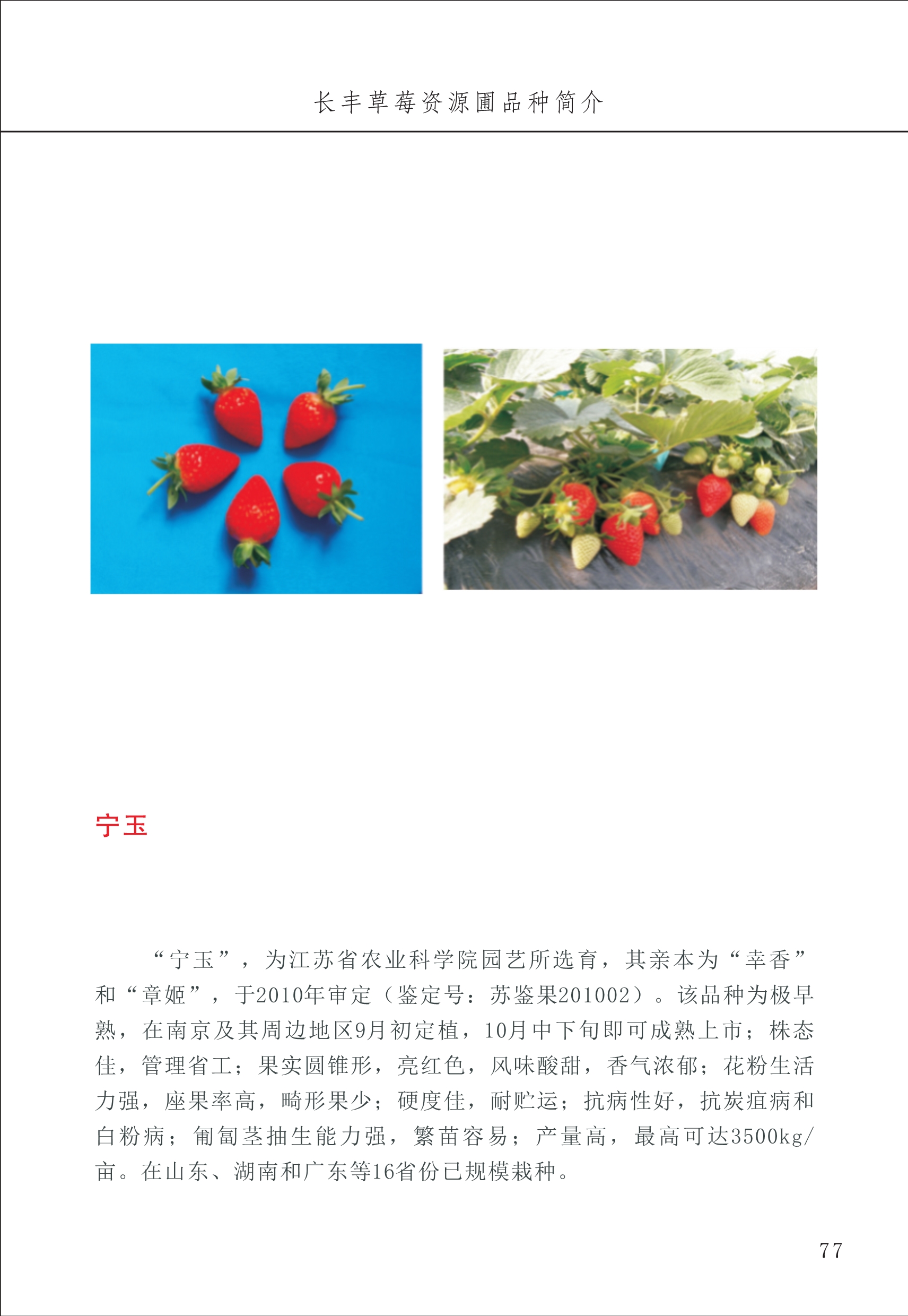 長豐農(nóng)技中心1_81.jpg