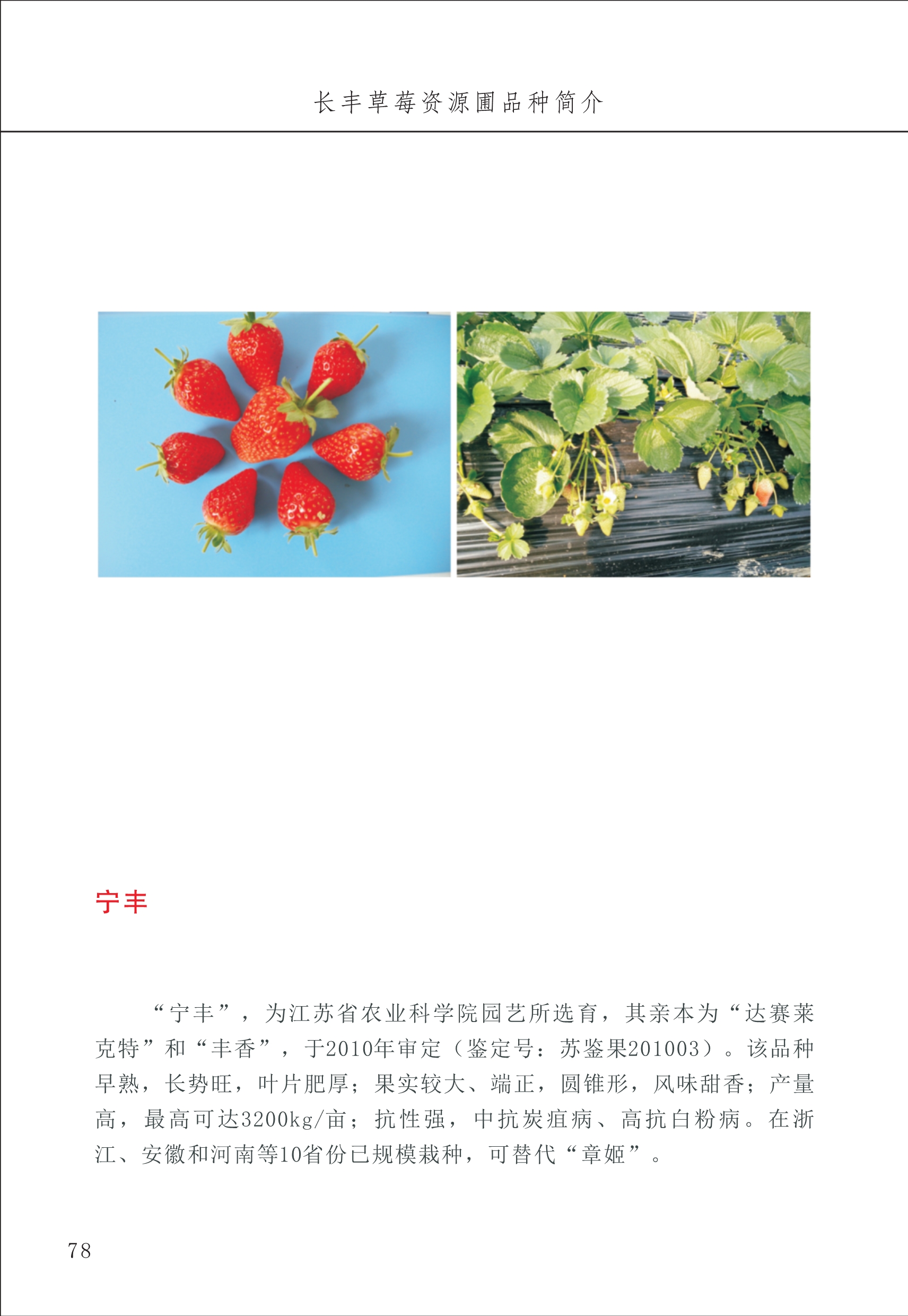 長豐農技中心1_82.jpg