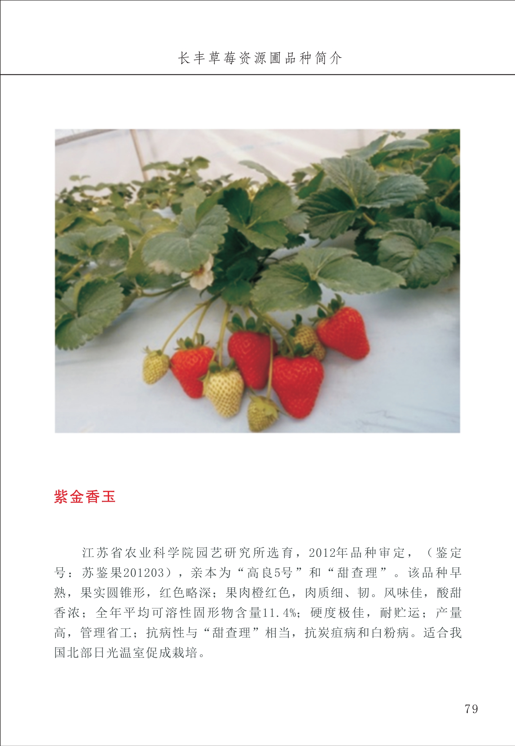 長豐農(nóng)技中心1_83.jpg