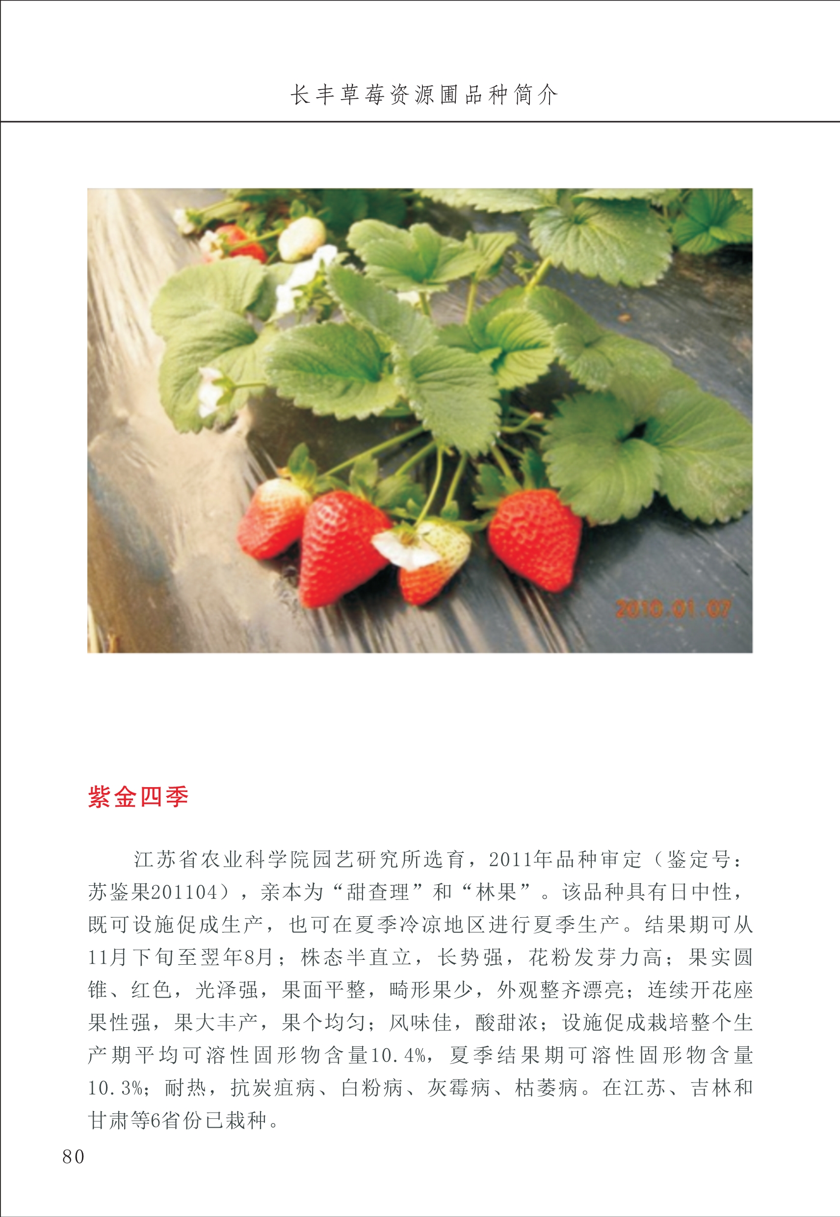 長(zhǎng)豐農(nóng)技中心1_84.jpg