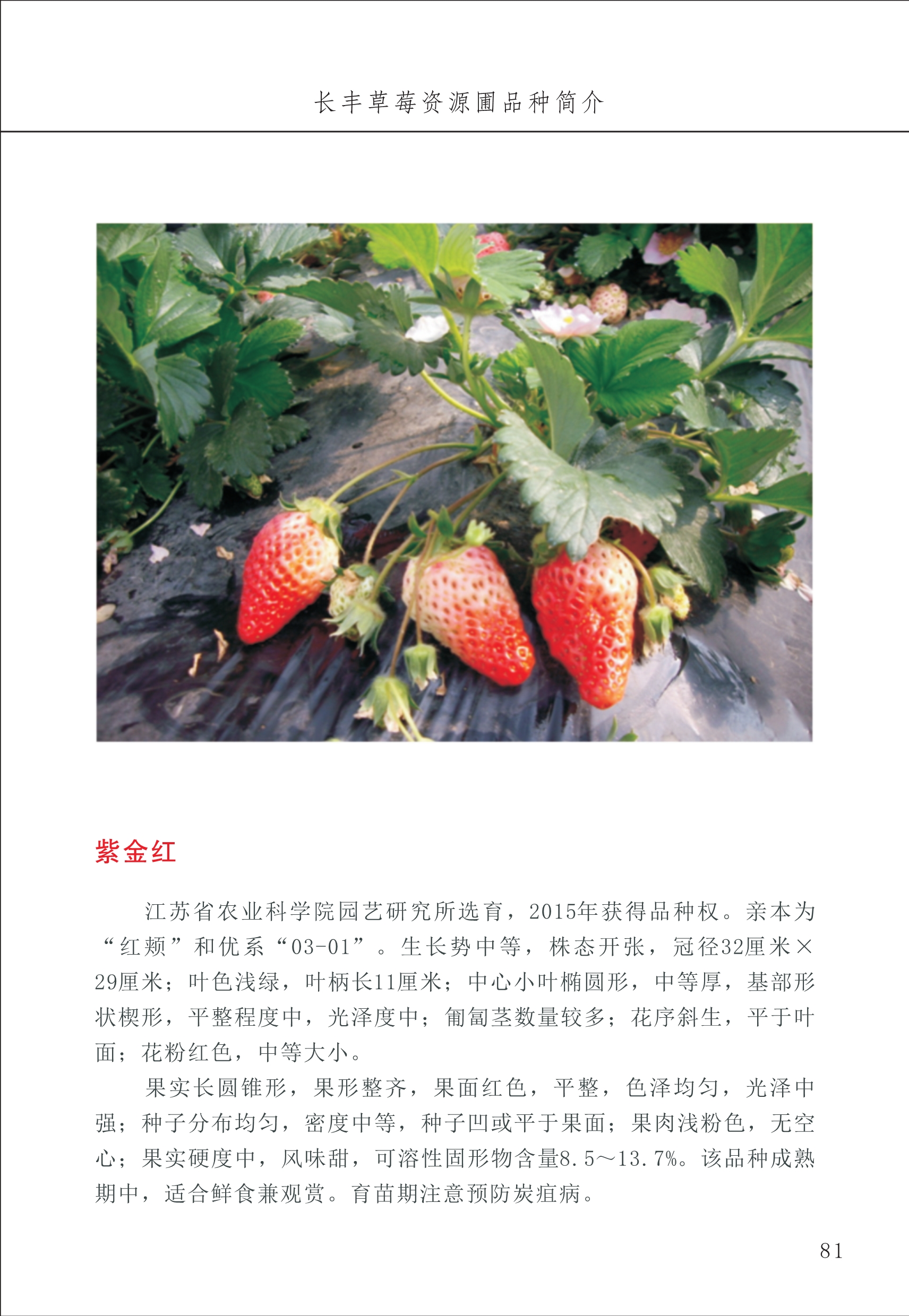 長豐農(nóng)技中心1_85.jpg