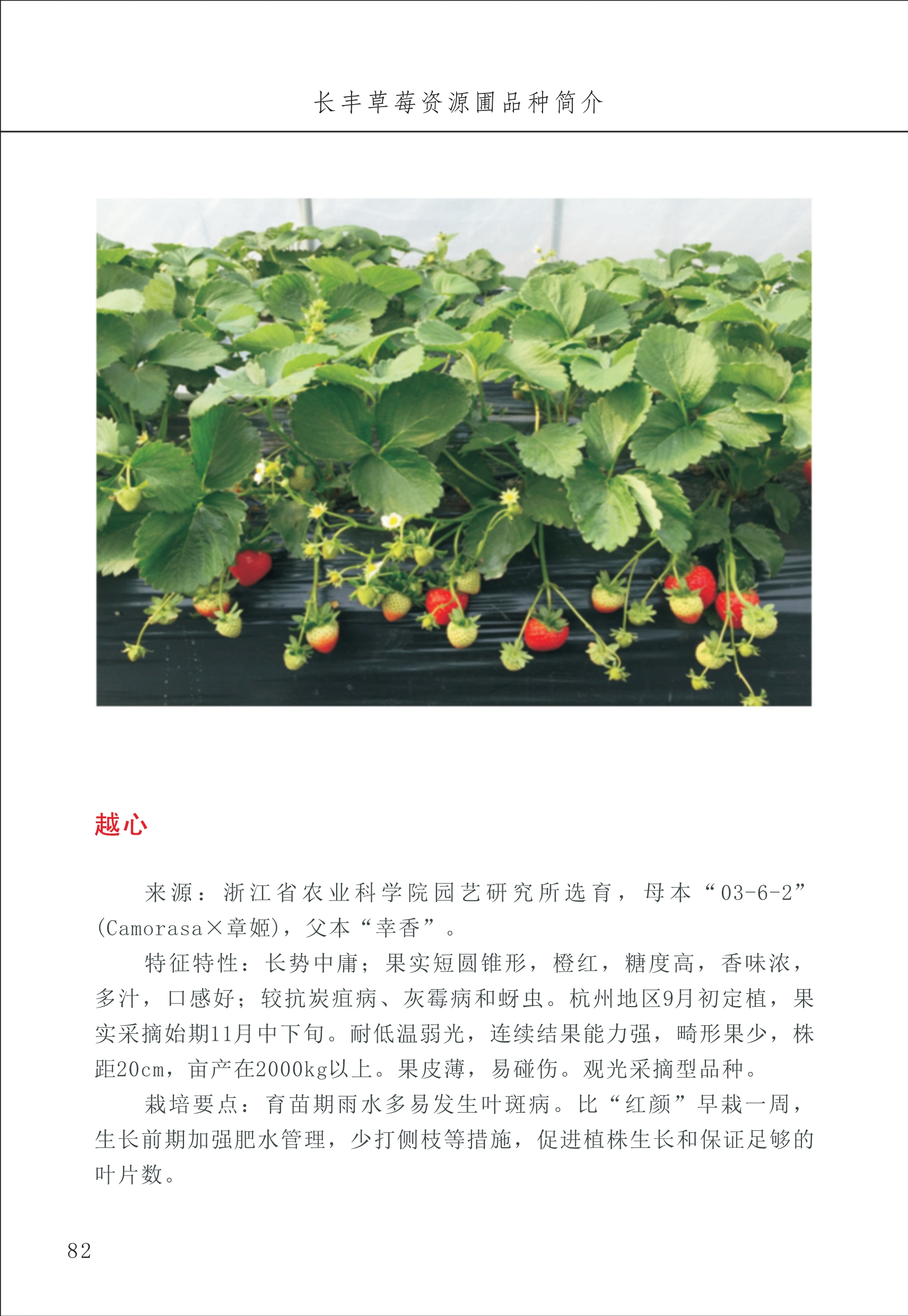 長(zhǎng)豐農(nóng)技中心1_86.jpg