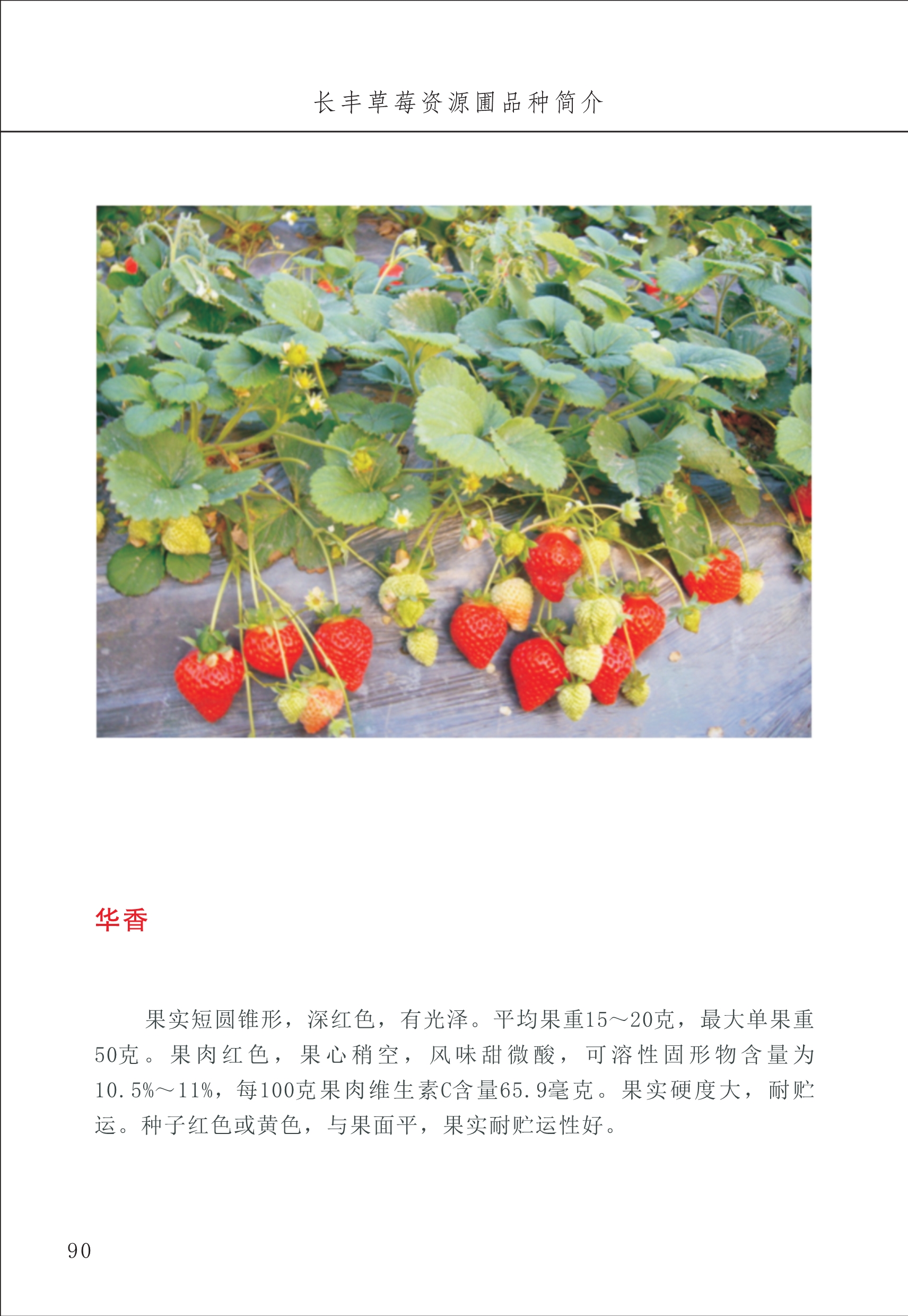 長豐農(nóng)技中心1_94.jpg