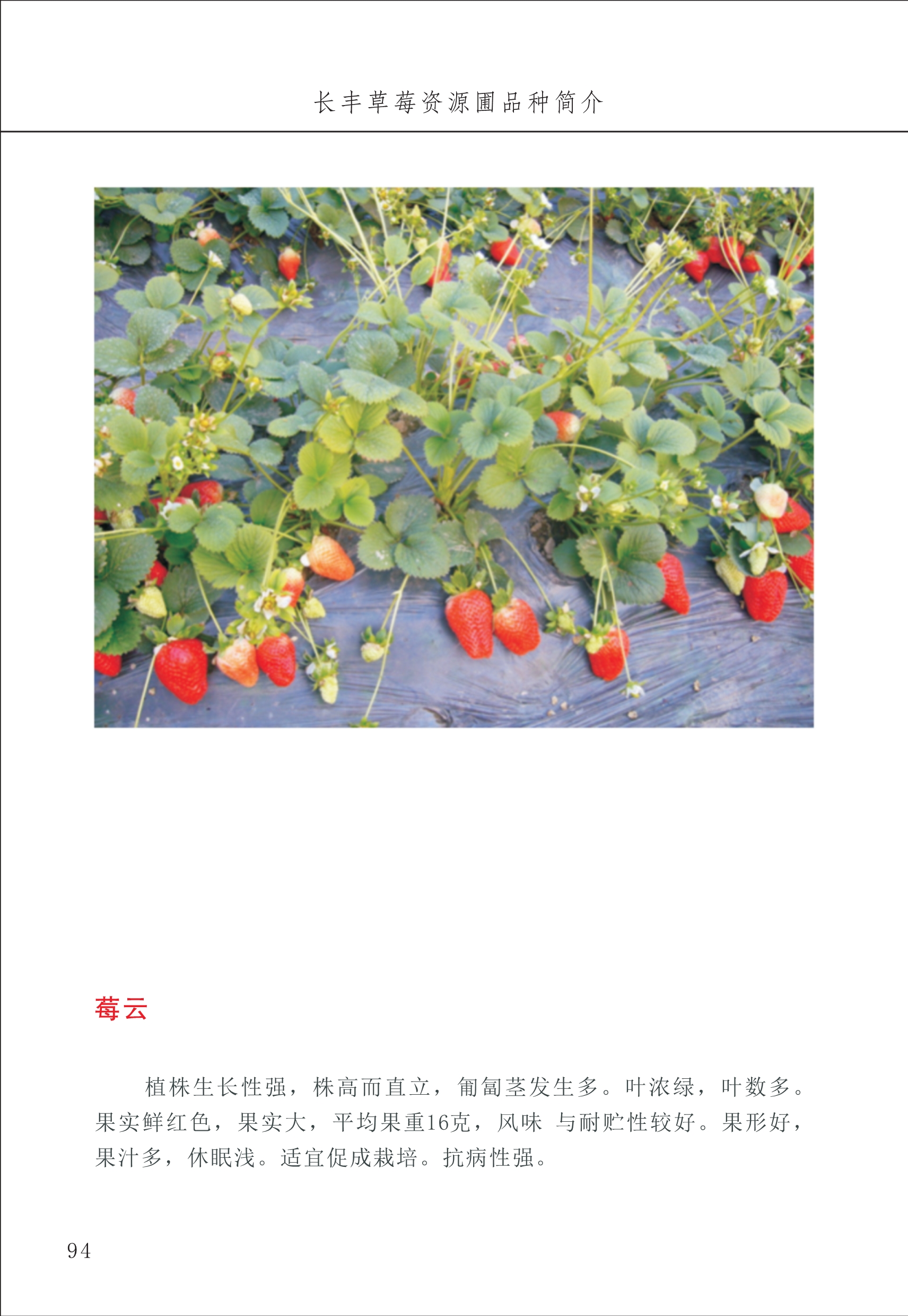 長(zhǎng)豐農(nóng)技中心1_98.jpg