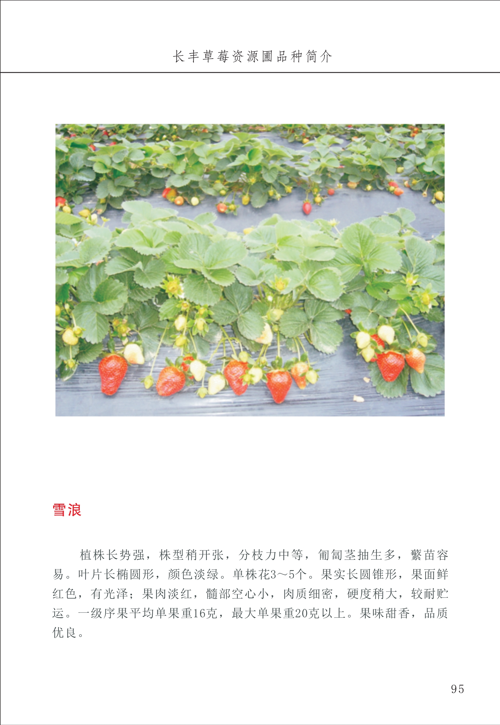 長(zhǎng)豐農(nóng)技中心1_99.jpg