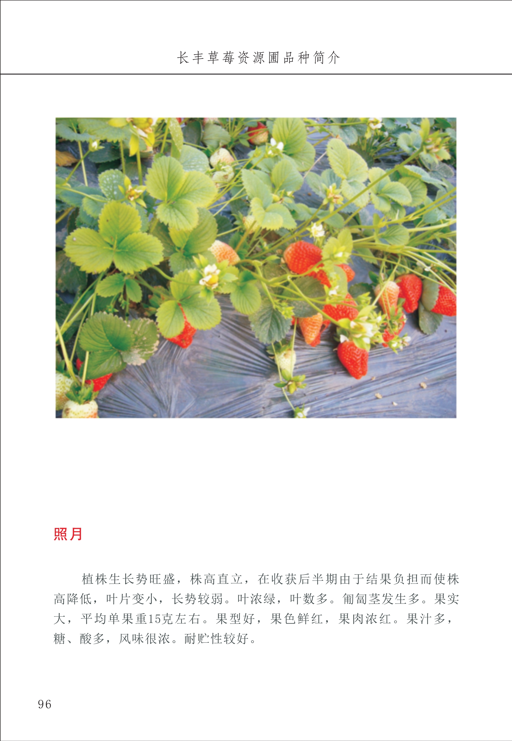 長豐農(nóng)技中心1_100.jpg