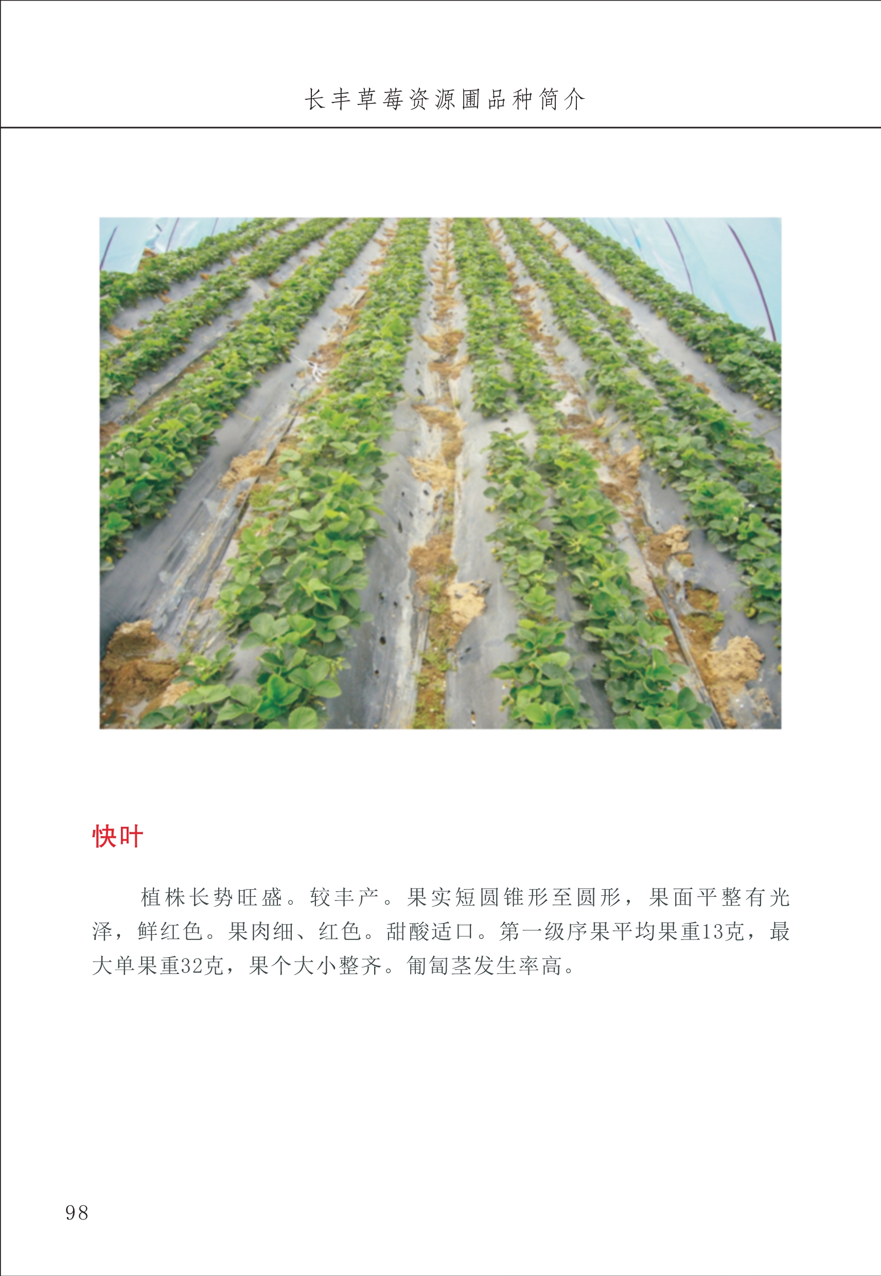 長(zhǎng)豐農(nóng)技中心1_102.jpg