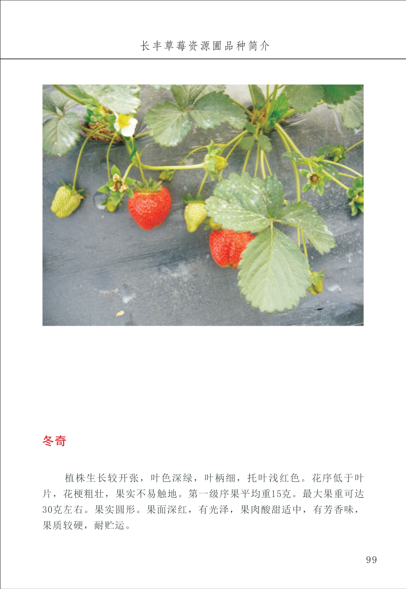 長豐農(nóng)技中心1_103.jpg