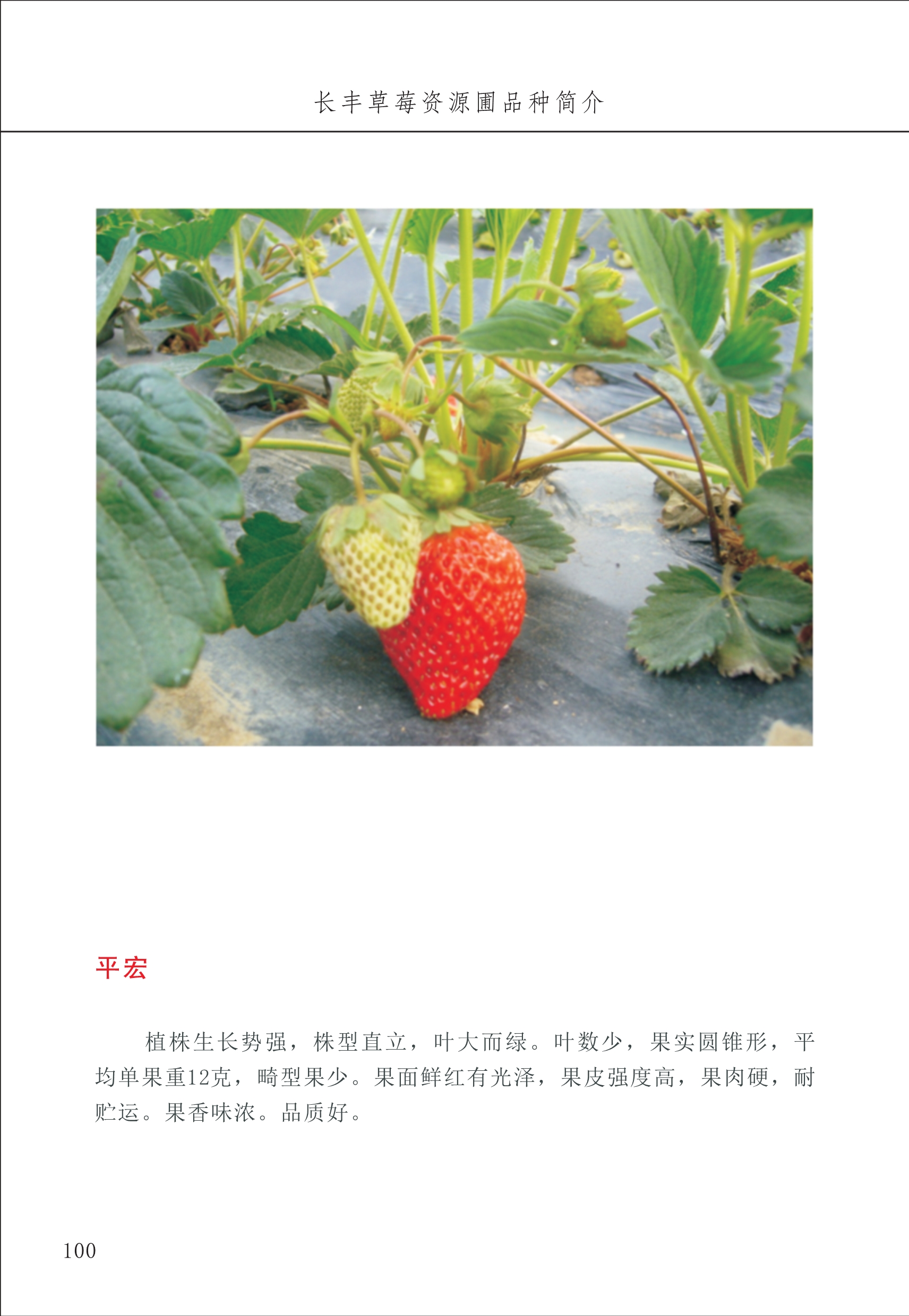 長豐農(nóng)技中心1_104.jpg