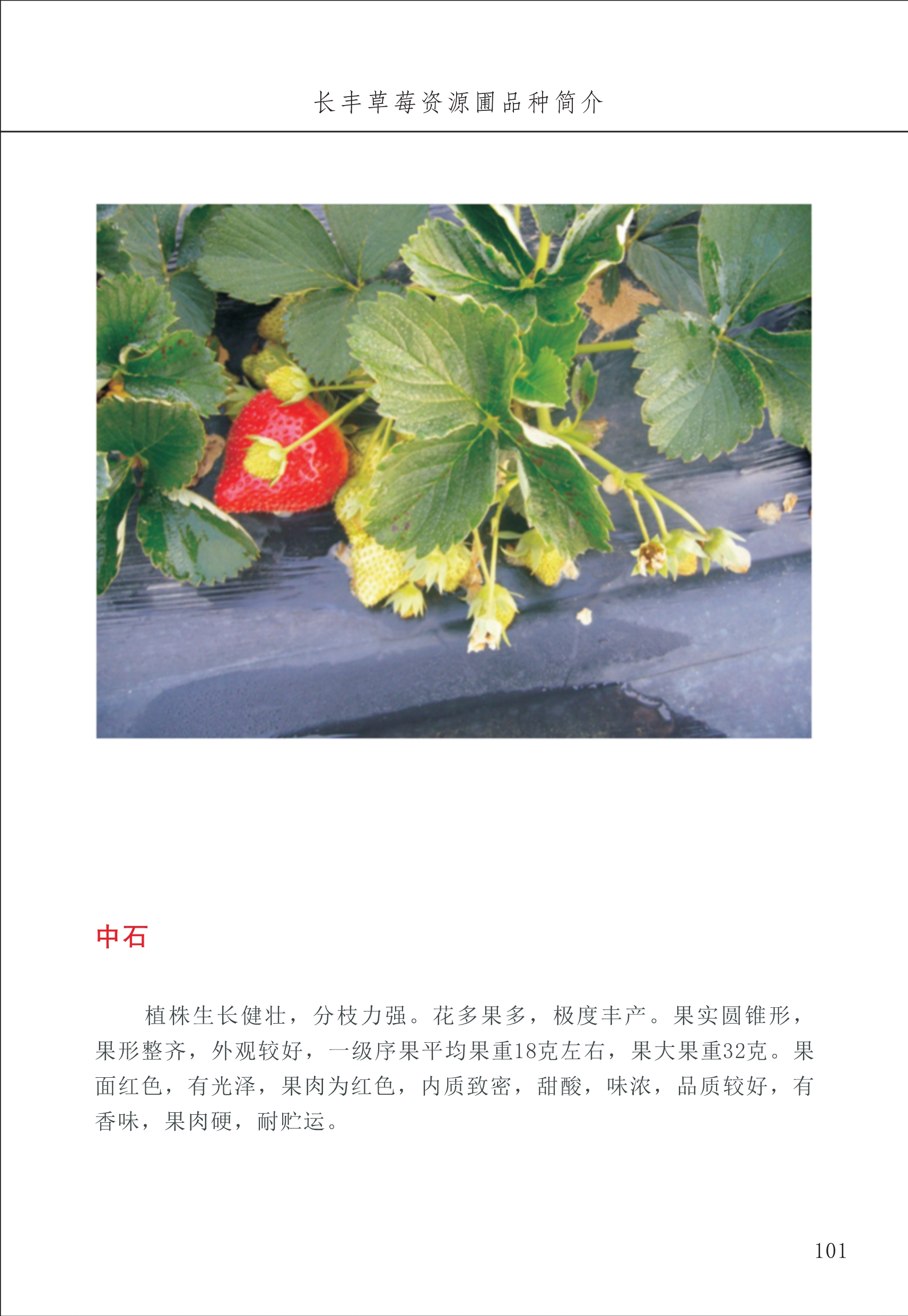 長豐農(nóng)技中心2_1.jpg