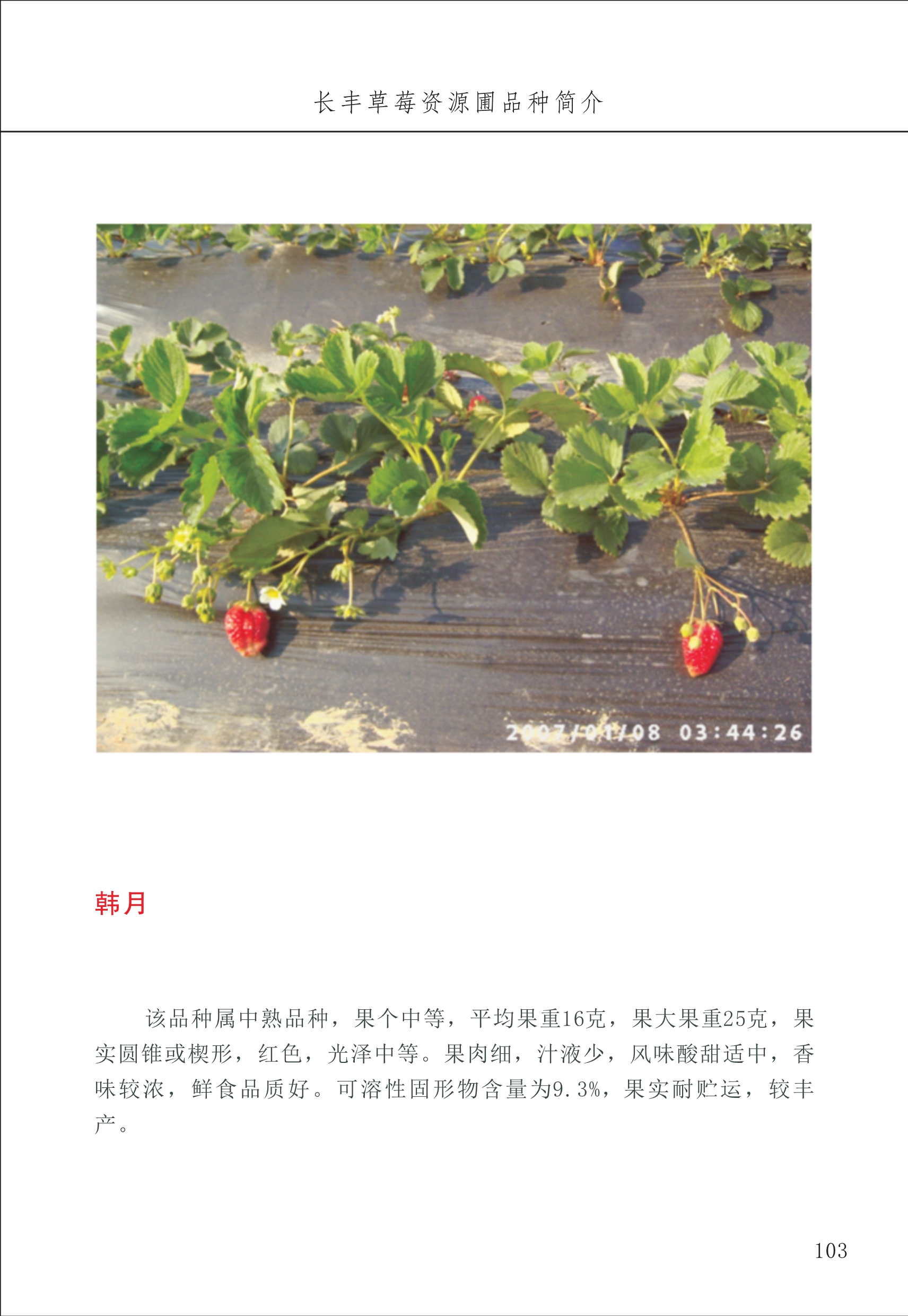 長豐農(nóng)技中心2_3.jpg