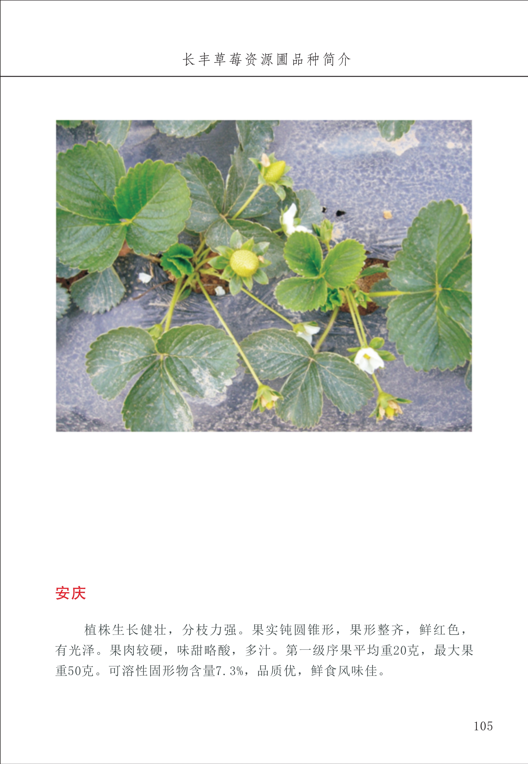 長豐農(nóng)技中心2_5.jpg