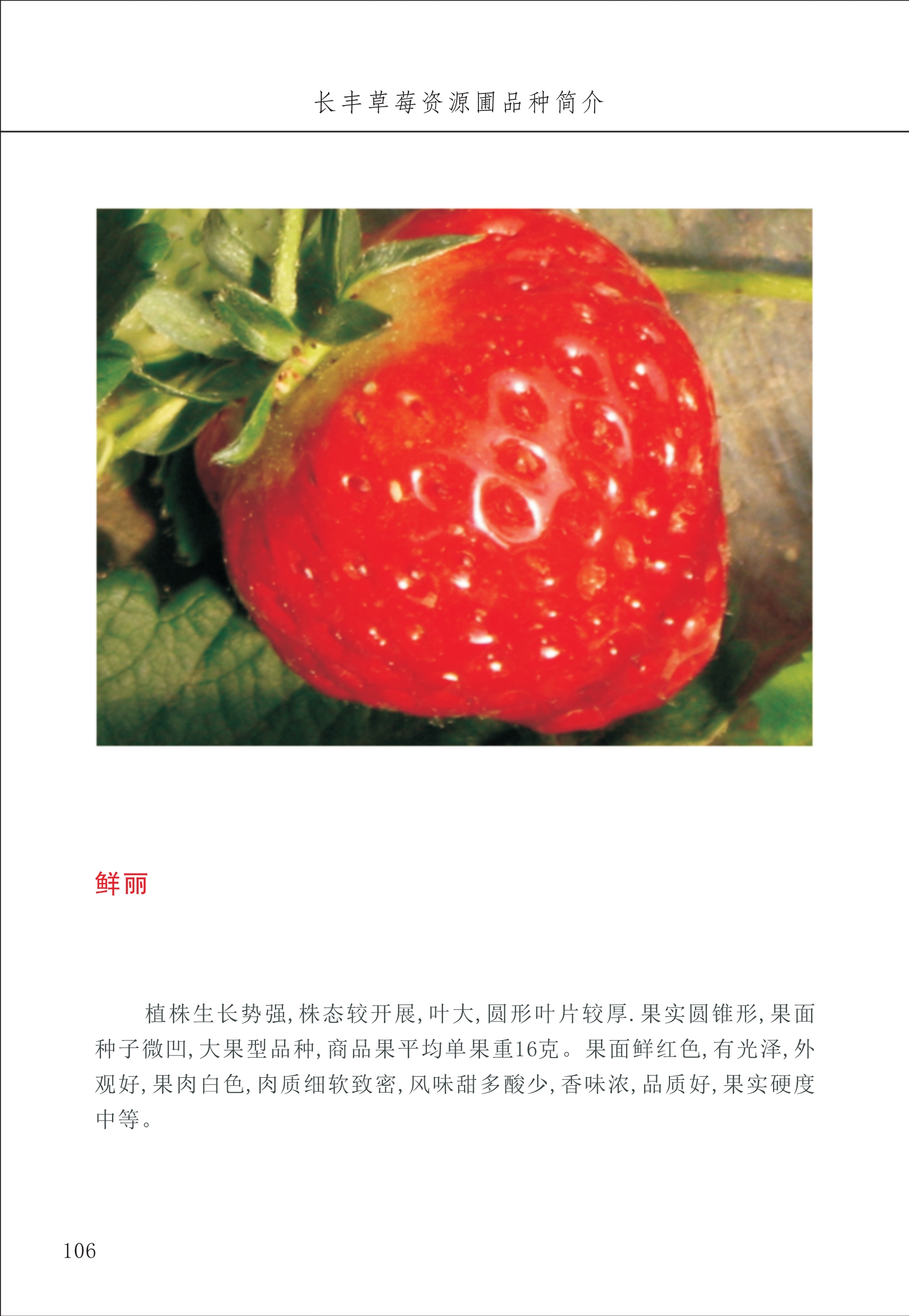 長(zhǎng)豐農(nóng)技中心2_6.jpg