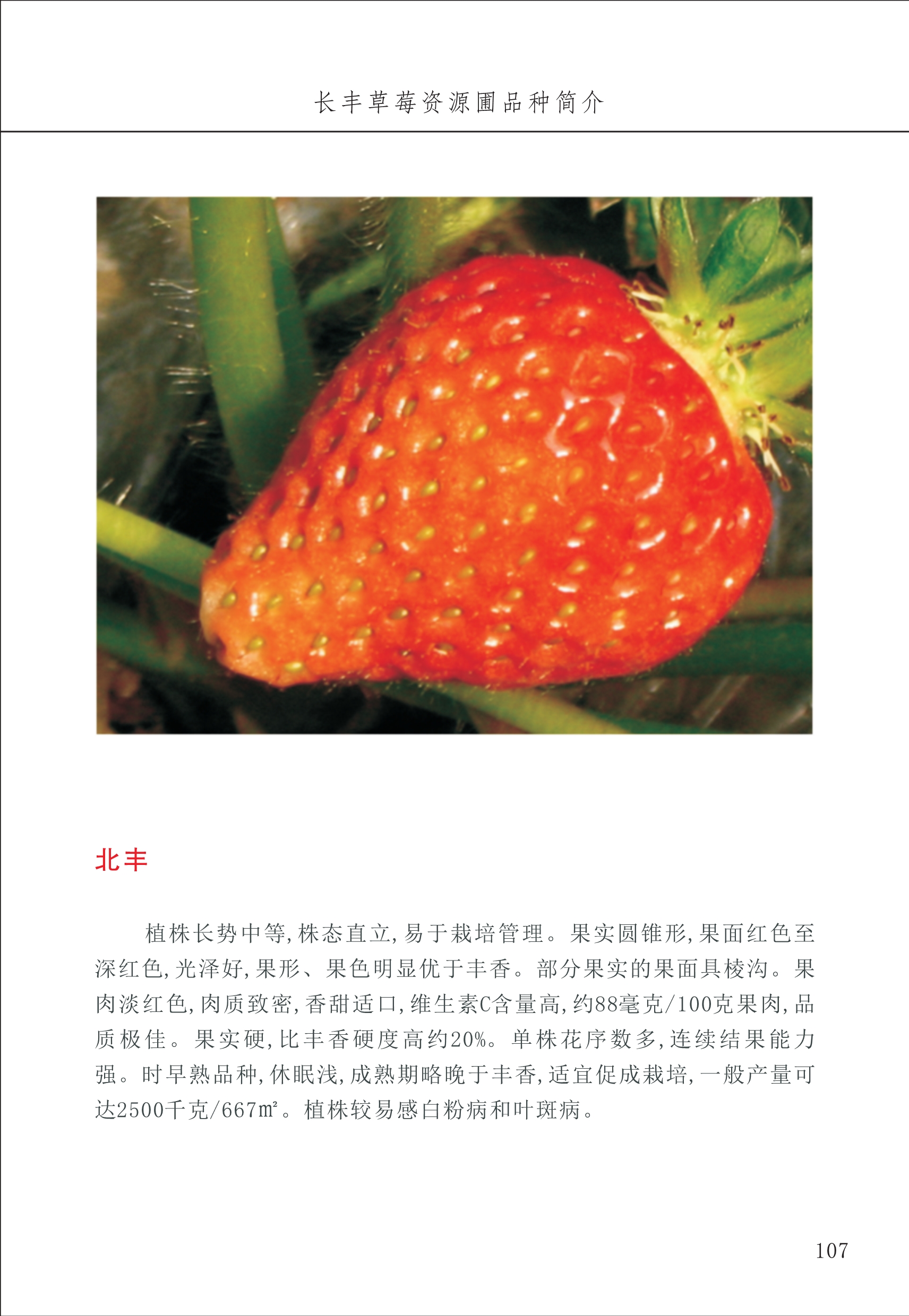 長(zhǎng)豐農(nóng)技中心2_7.jpg