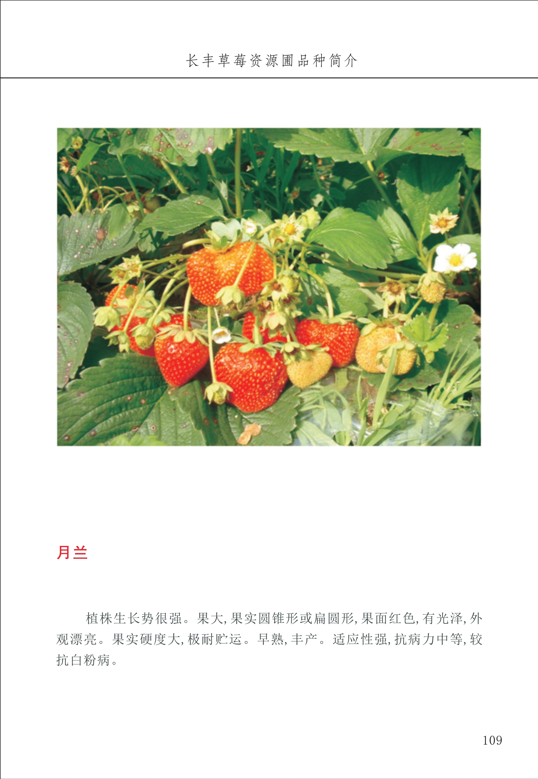 長豐農技中心2_9.jpg