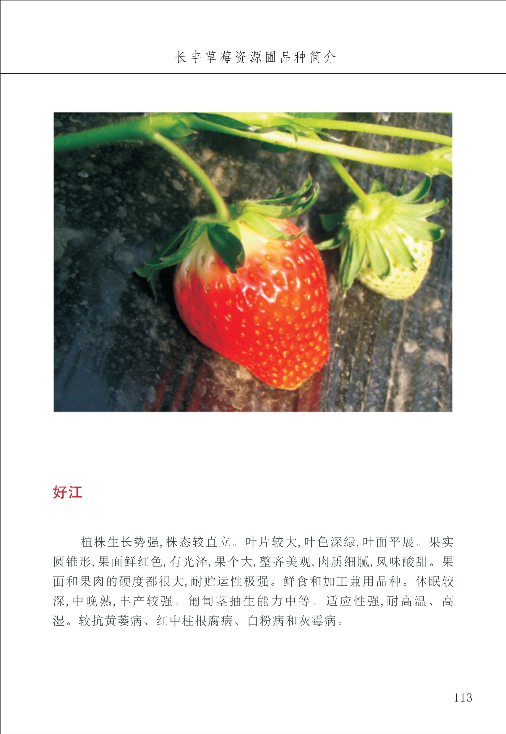 長(zhǎng)豐農(nóng)技中心2_13.jpg