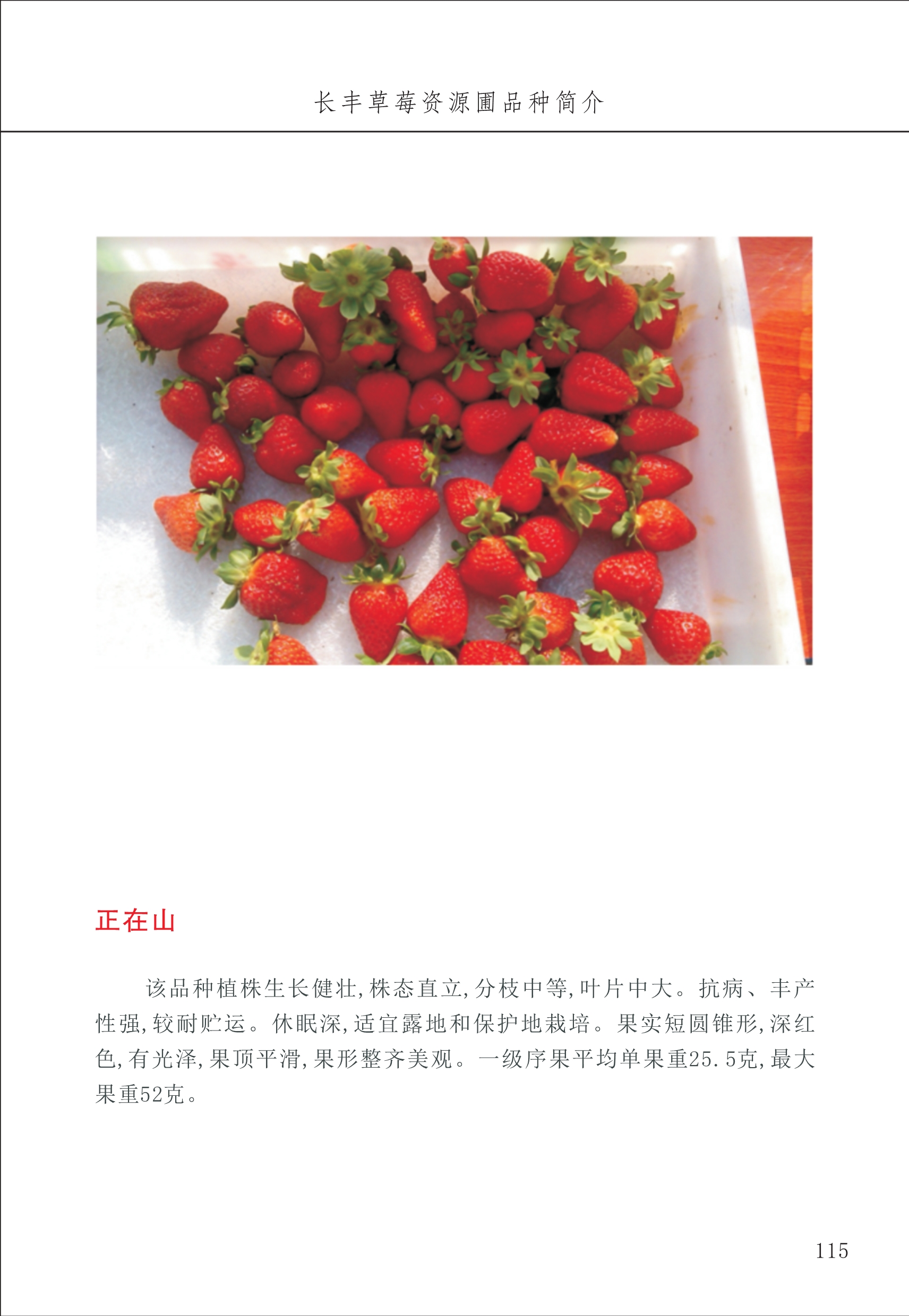 長(zhǎng)豐農(nóng)技中心2_15.jpg