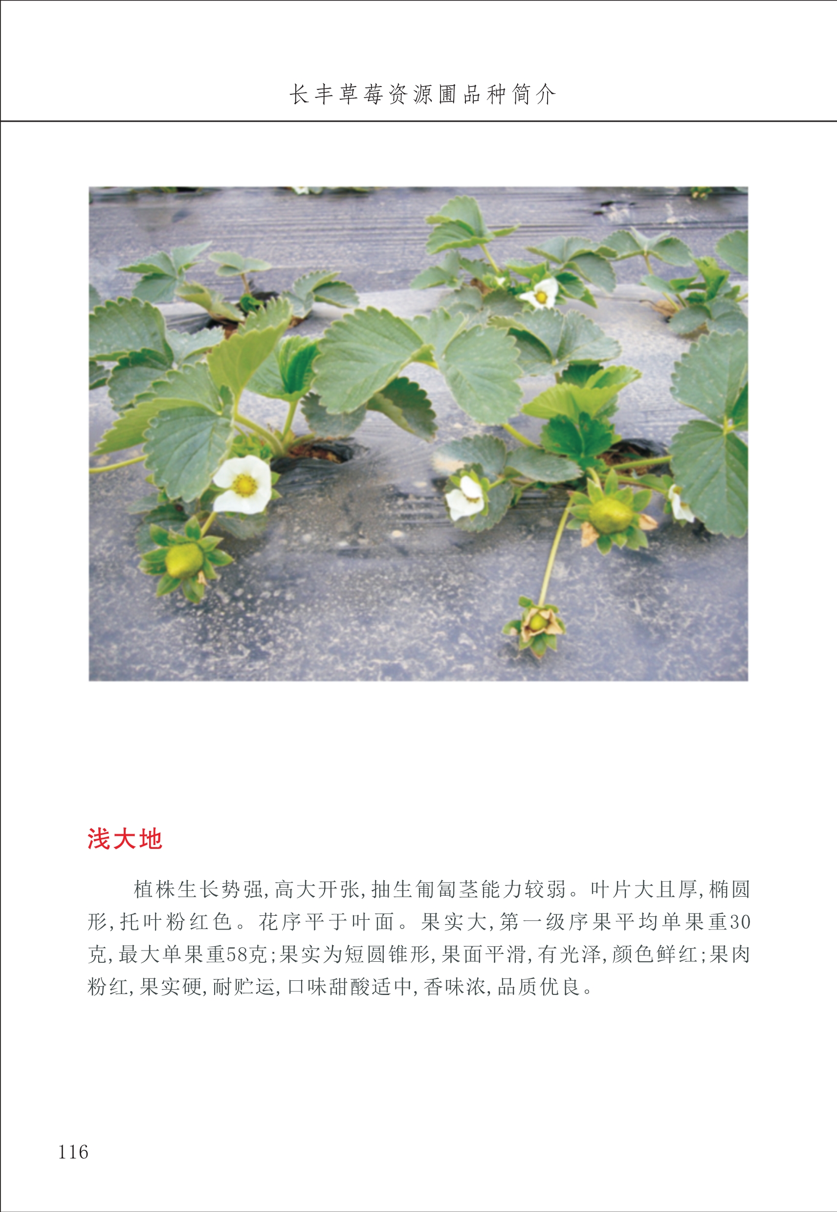 長(zhǎng)豐農(nóng)技中心2_16.jpg