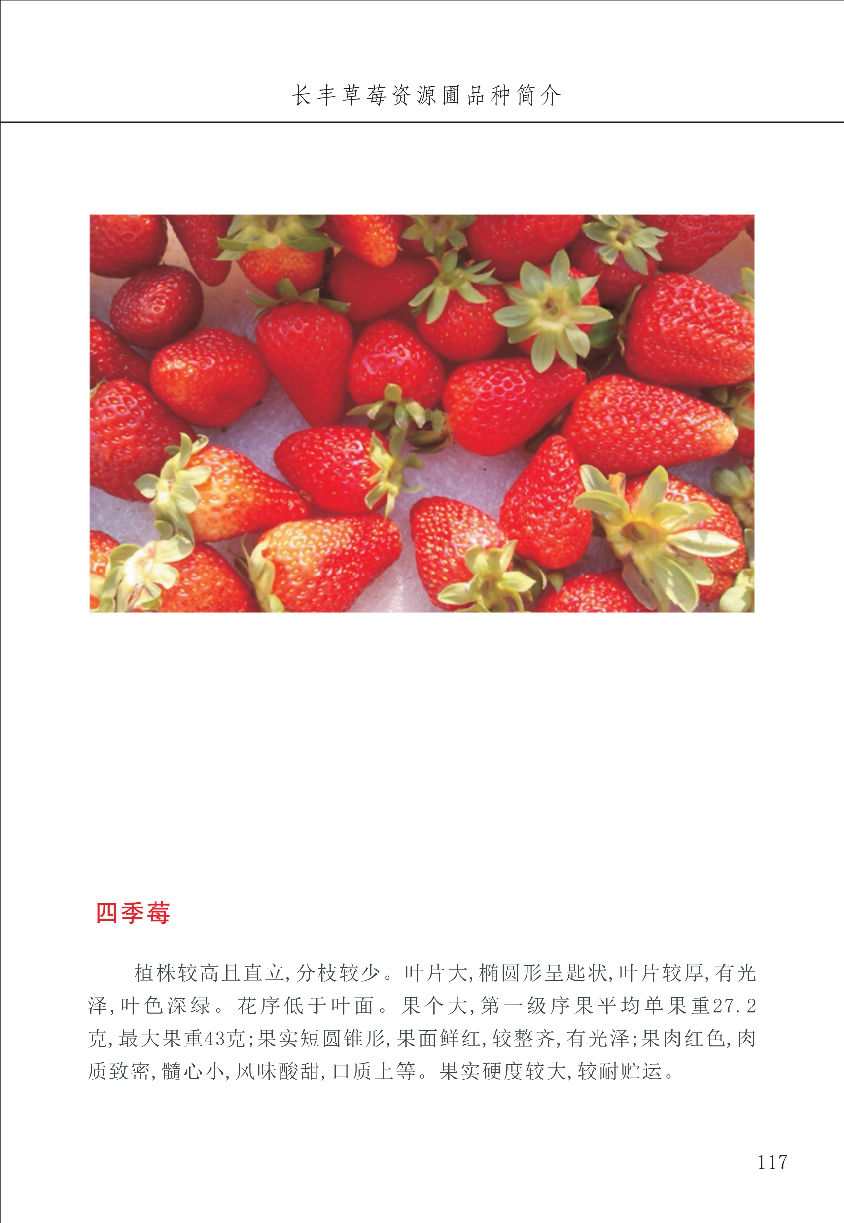 長豐農(nóng)技中心2_17.jpg