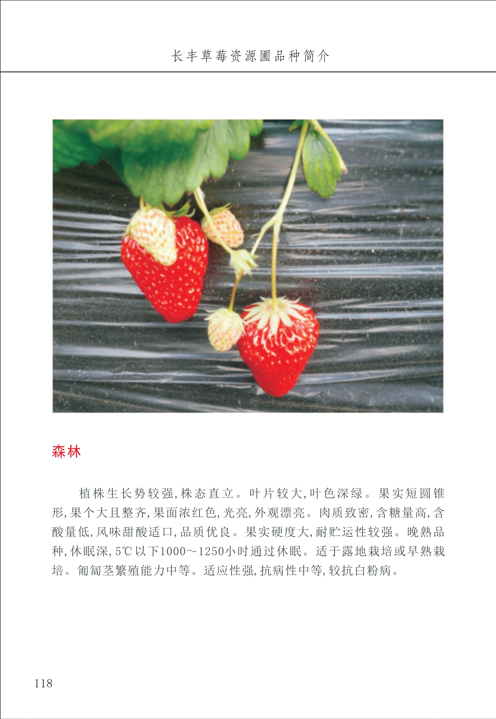 長(zhǎng)豐農(nóng)技中心2_18.jpg