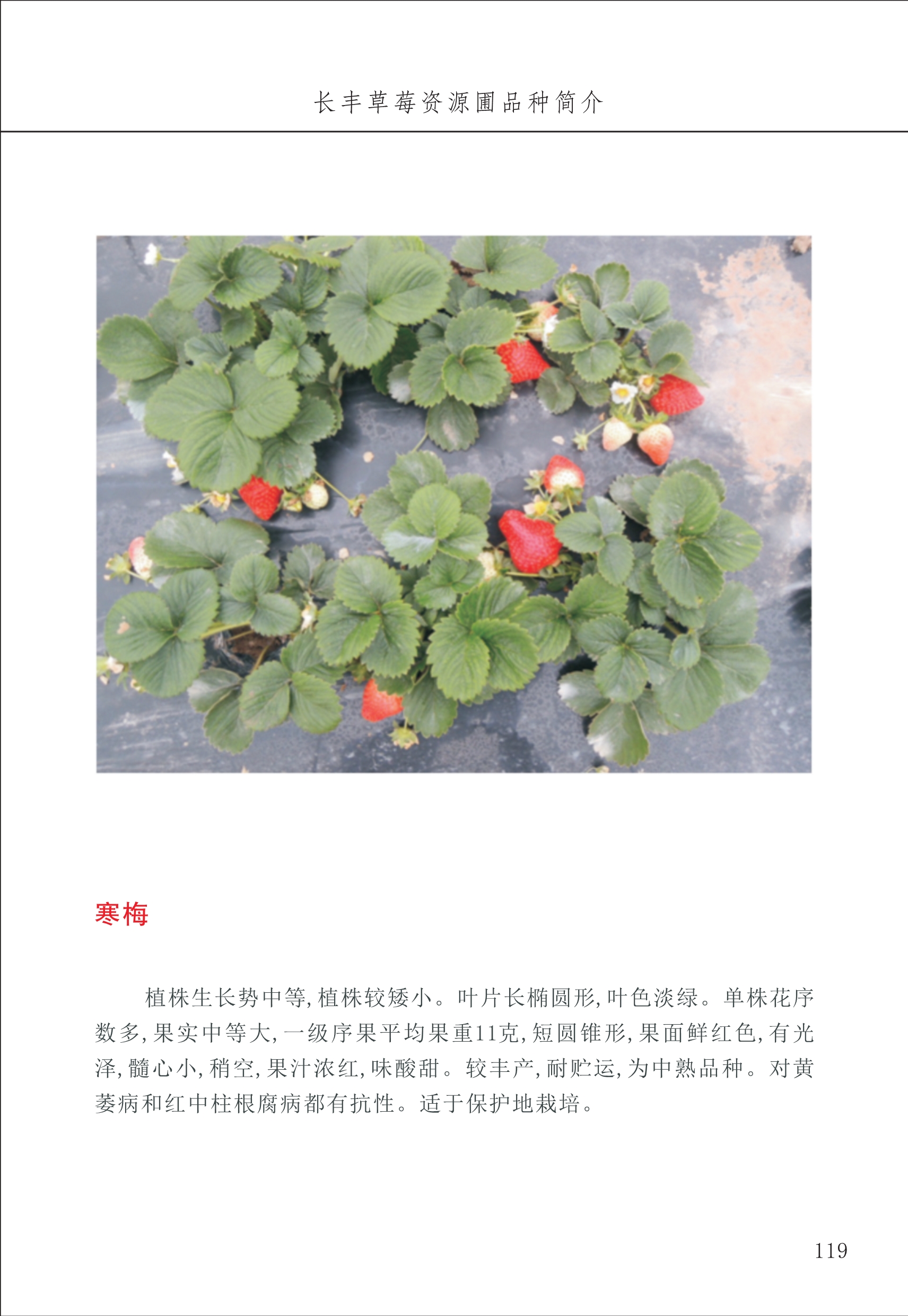 長(zhǎng)豐農(nóng)技中心2_19.jpg