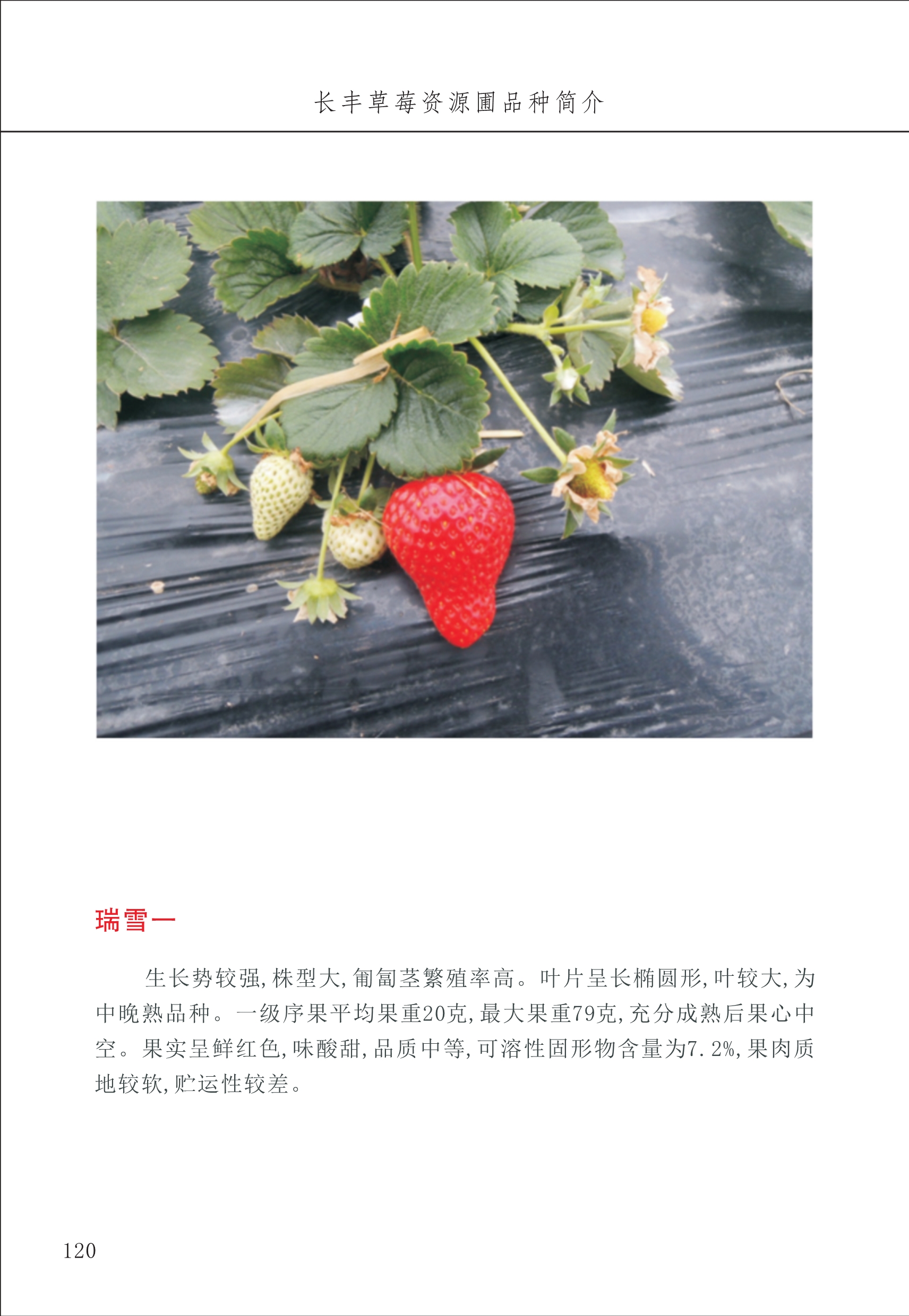 長豐農(nóng)技中心2_20.jpg