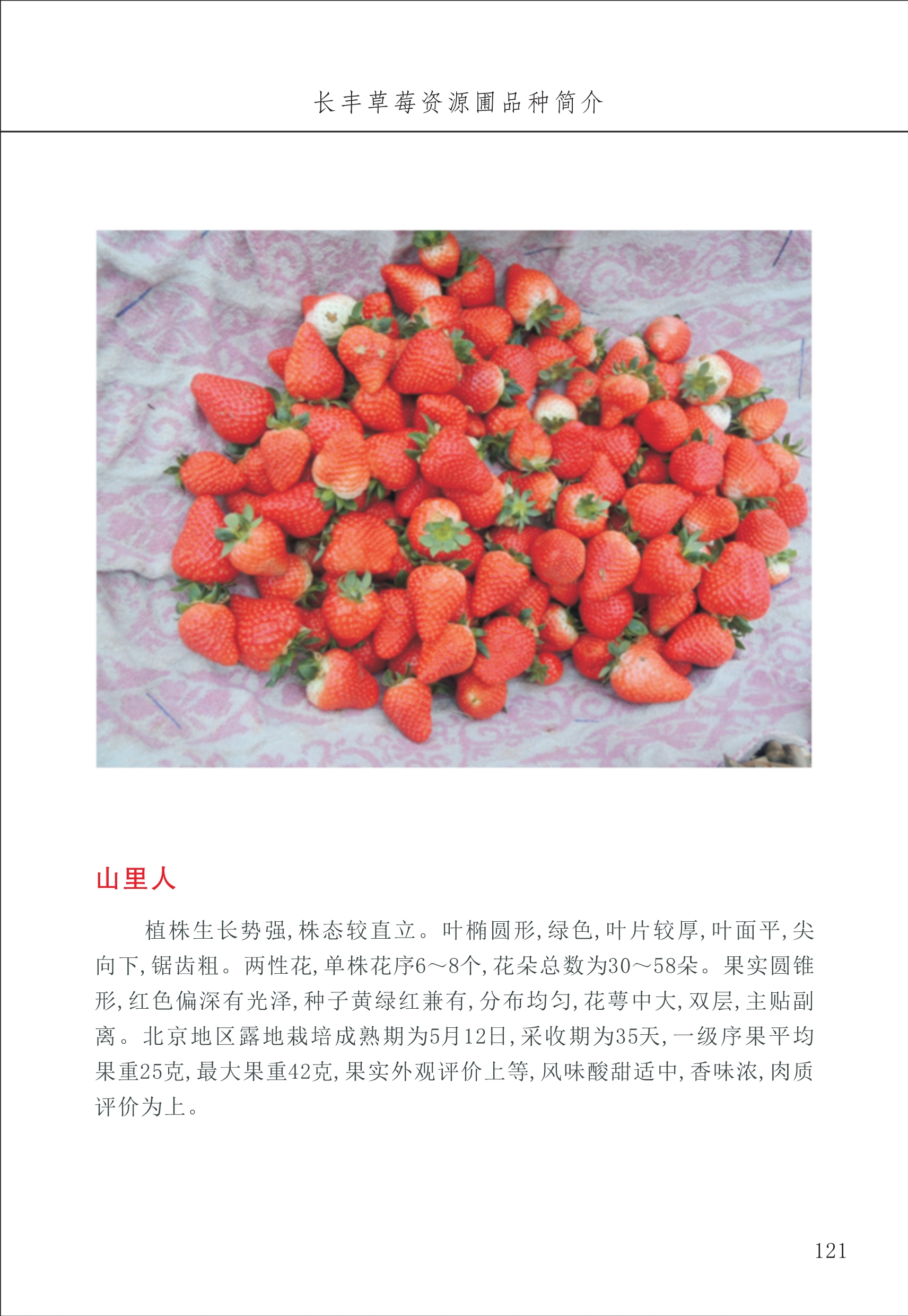長豐農(nóng)技中心2_21.jpg