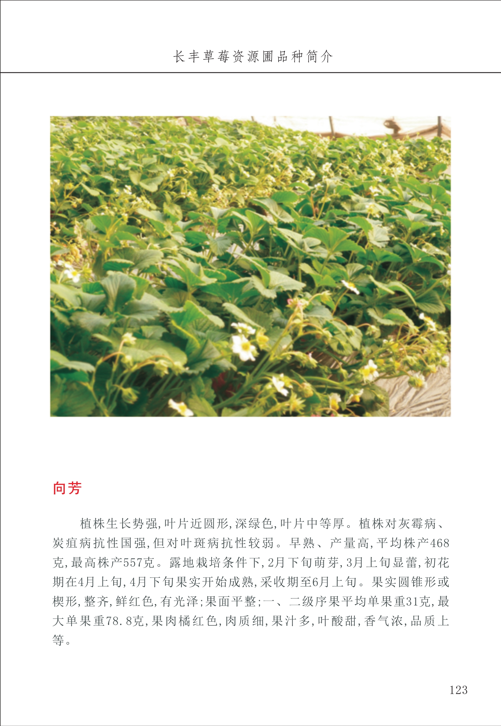 長豐農(nóng)技中心2_23.jpg