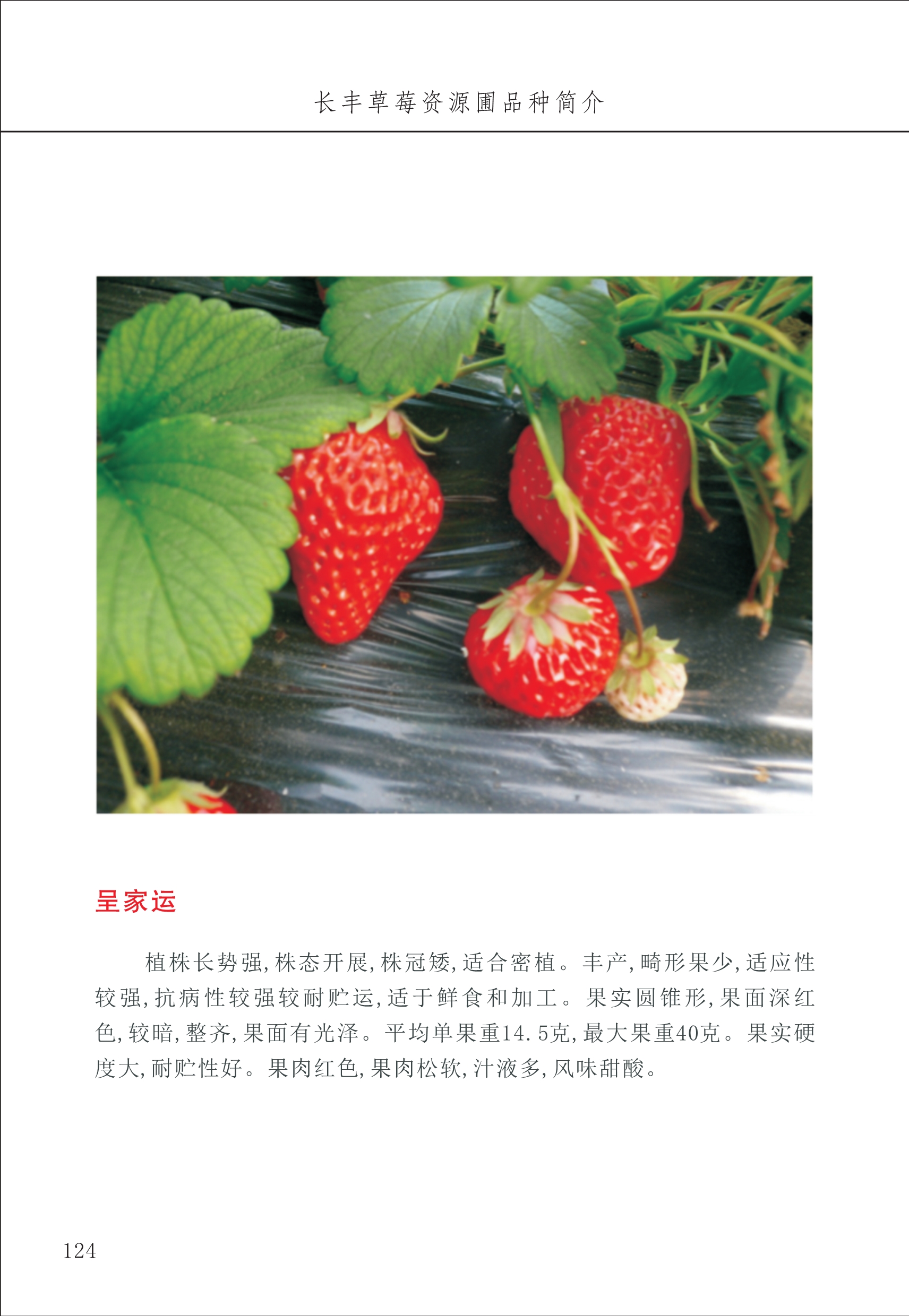 長豐農(nóng)技中心2_24.jpg
