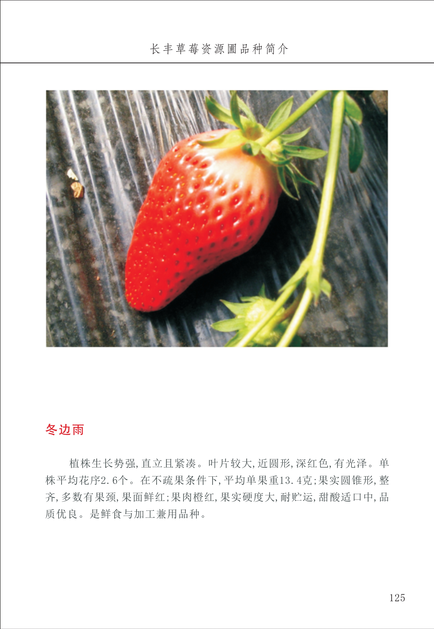 長豐農(nóng)技中心2_25.jpg