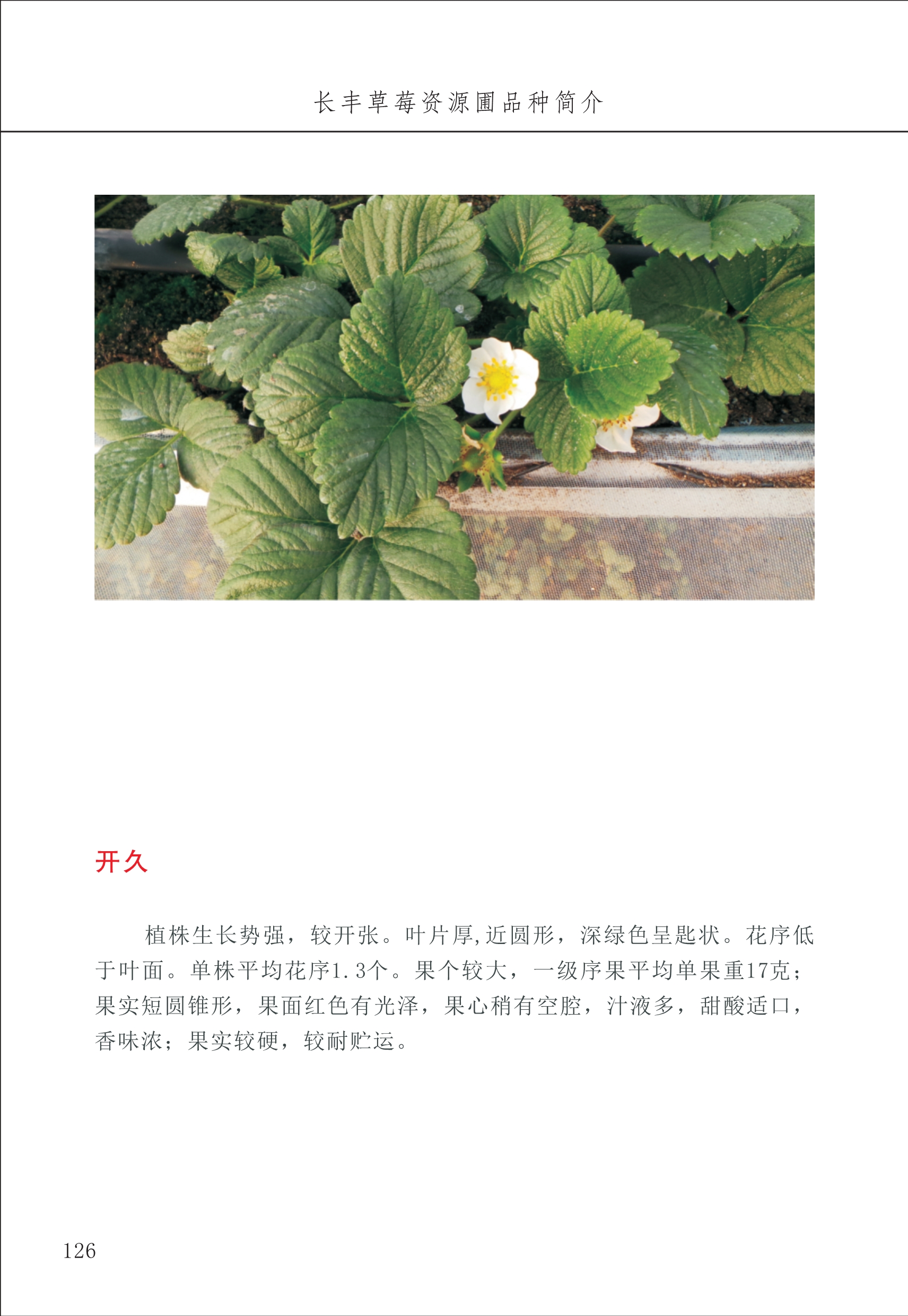 長(zhǎng)豐農(nóng)技中心2_26.jpg