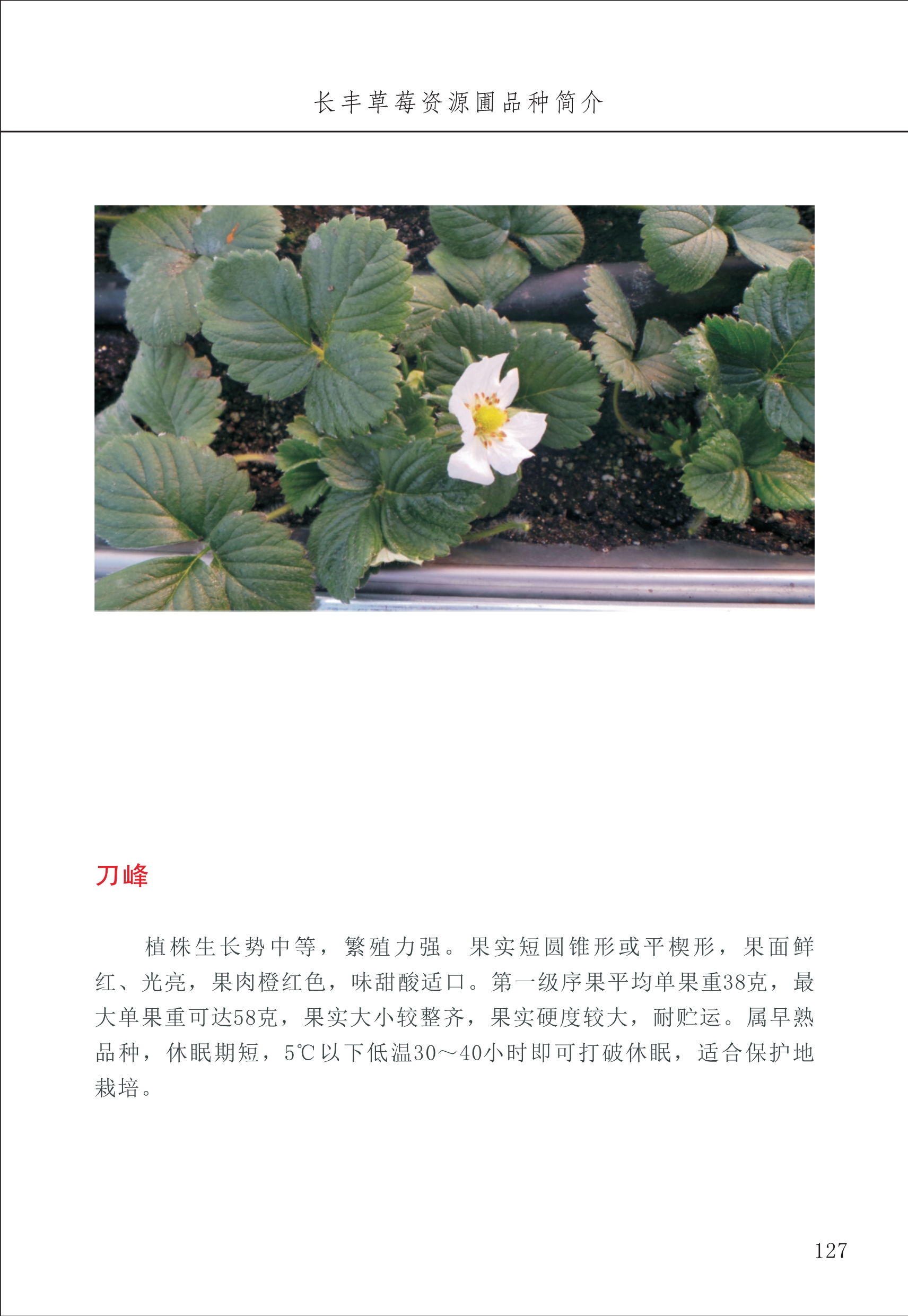 長豐農(nóng)技中心2_27.jpg