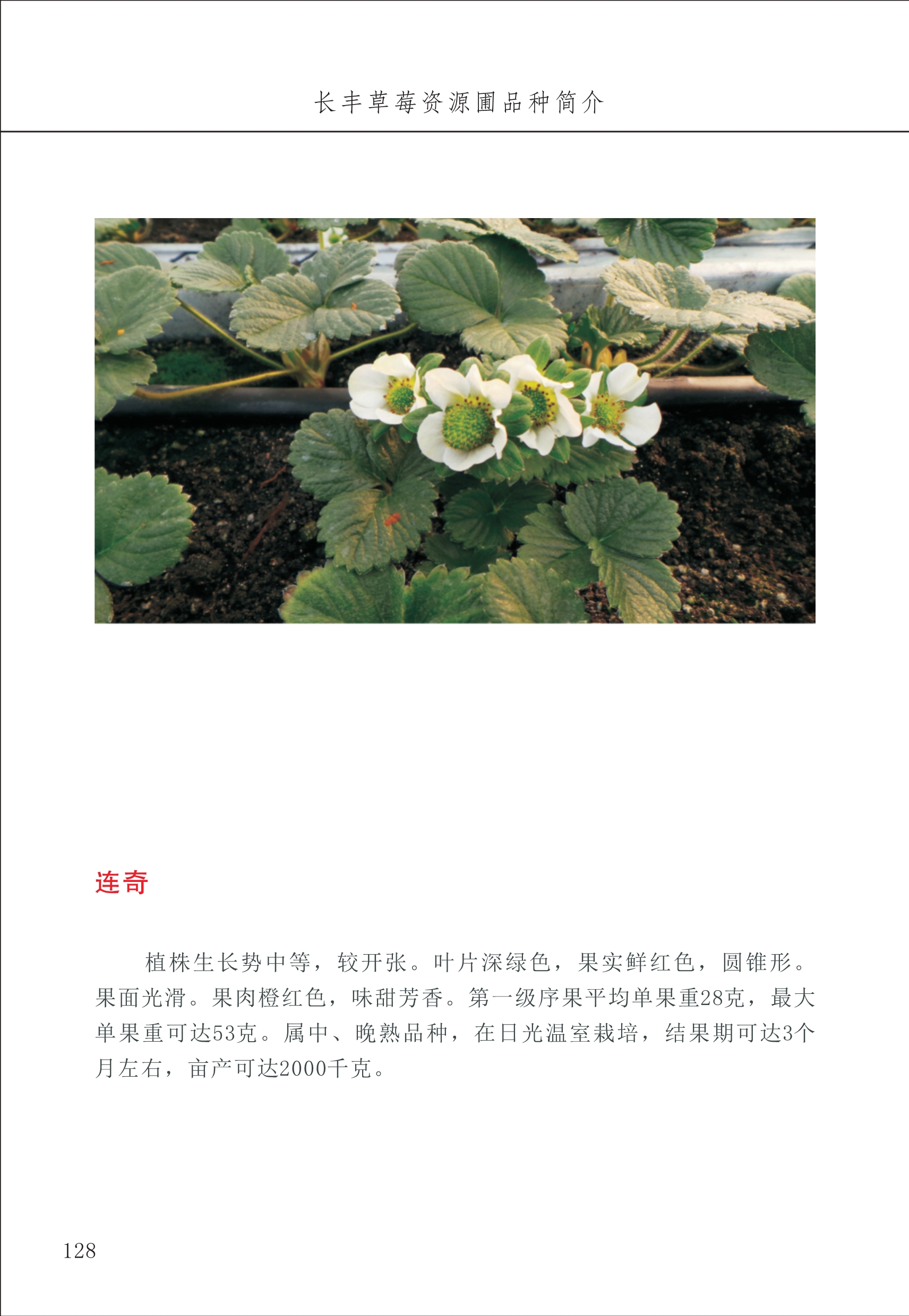 長(zhǎng)豐農(nóng)技中心2_28.jpg