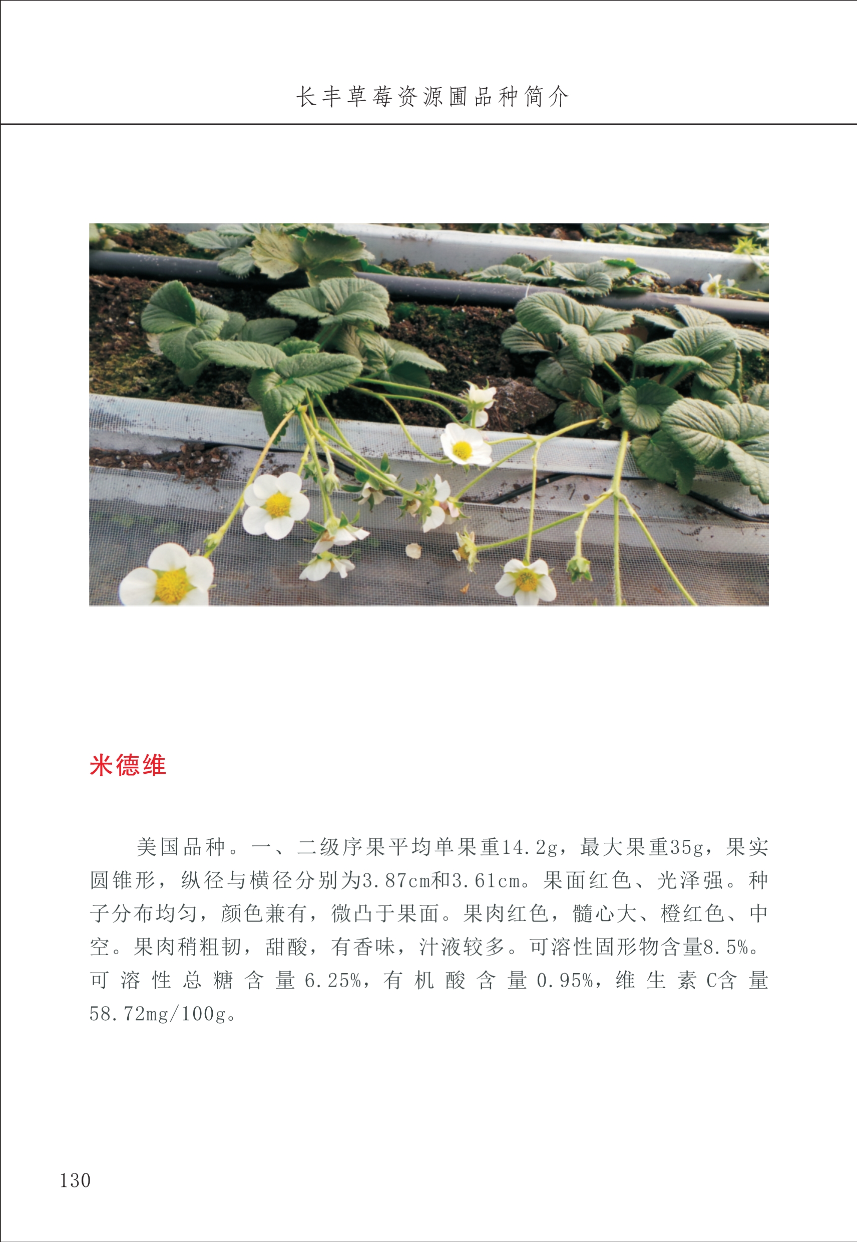 長(zhǎng)豐農(nóng)技中心2_30.jpg