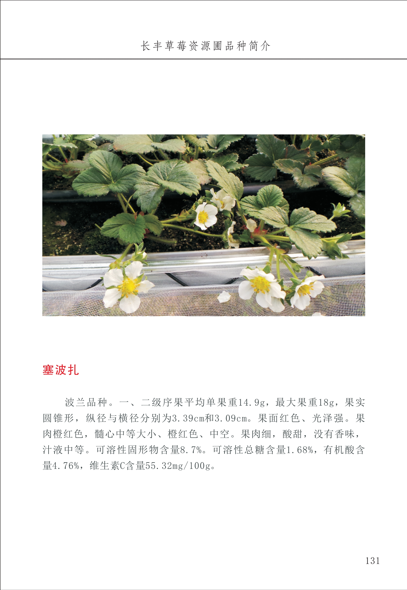 長(zhǎng)豐農(nóng)技中心2_31.jpg