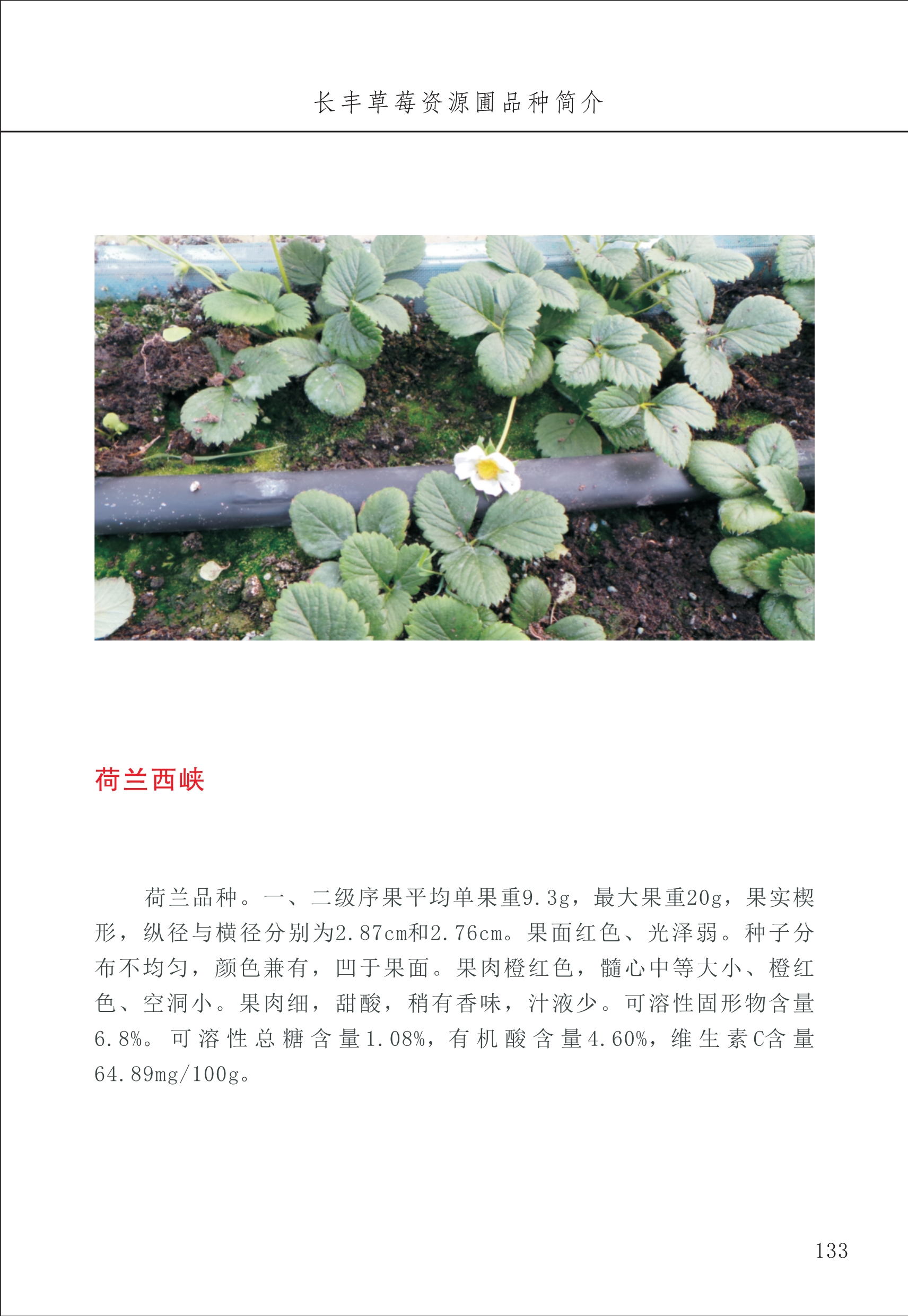 長豐農(nóng)技中心2_33.jpg