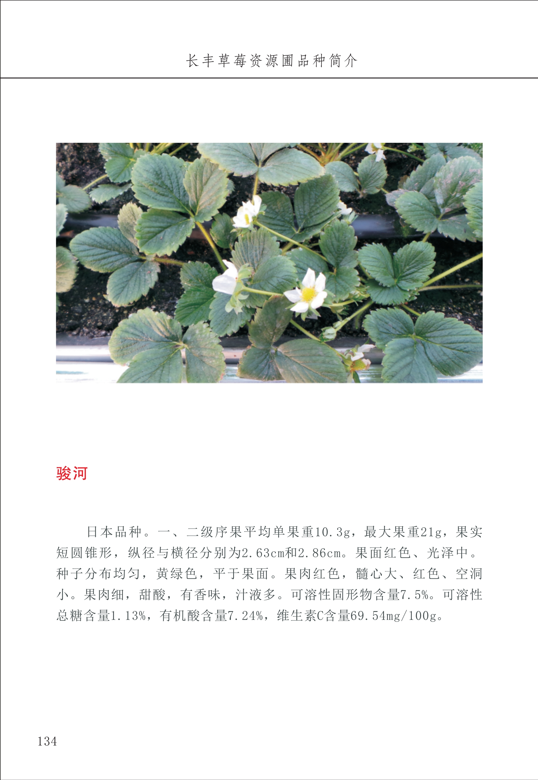 長豐農(nóng)技中心2_34.jpg