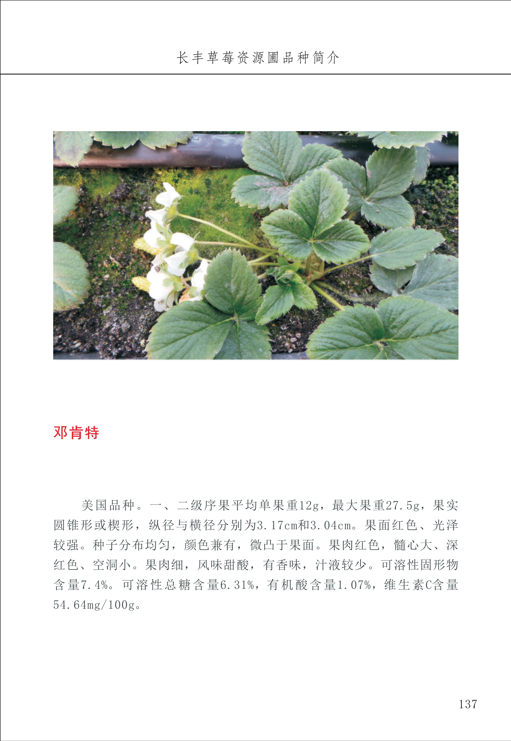 長豐農(nóng)技中心2_37.jpg