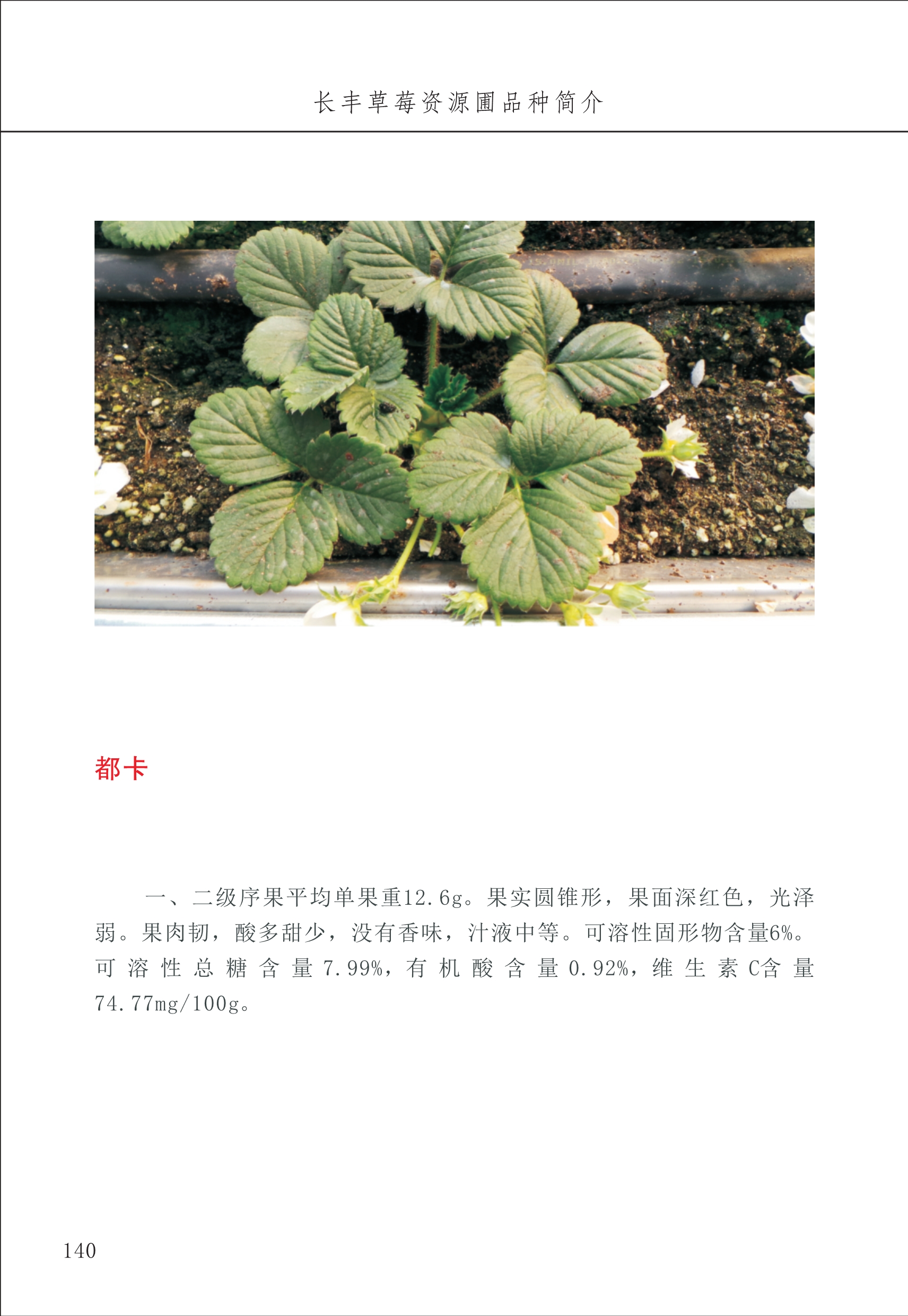 長豐農(nóng)技中心2_40.jpg
