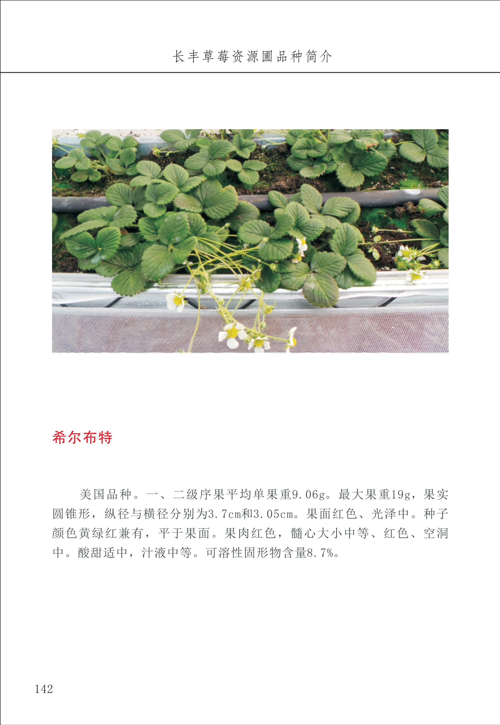 長豐農(nóng)技中心2_42.jpg