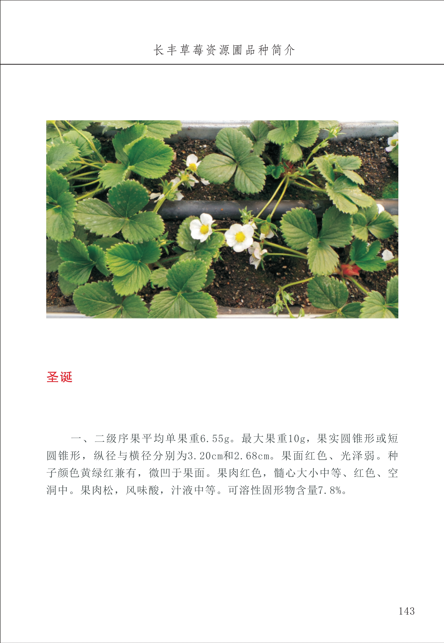 長豐農(nóng)技中心2_43.jpg