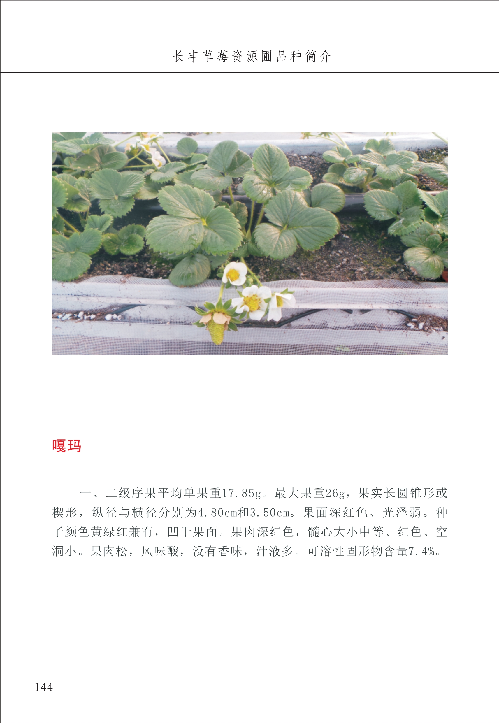 長豐農(nóng)技中心2_44.jpg