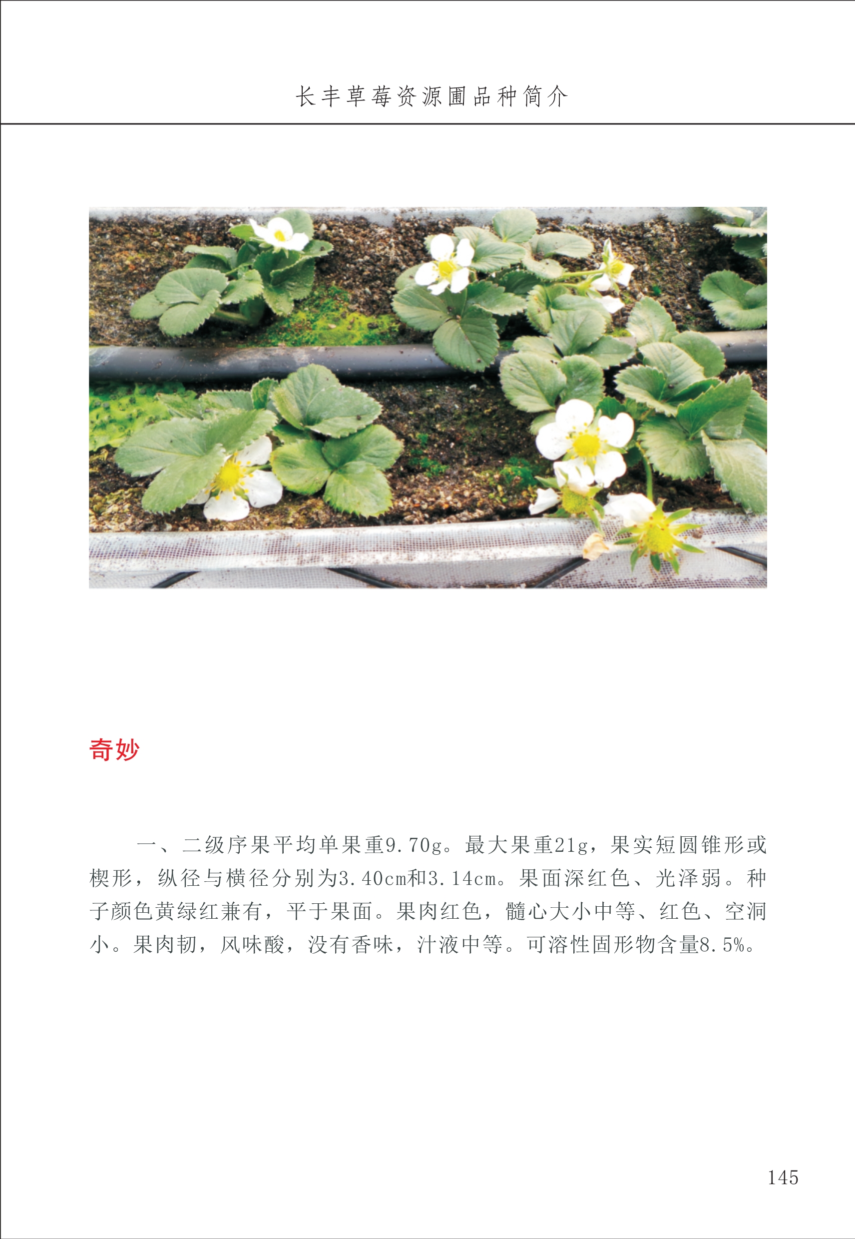 長(zhǎng)豐農(nóng)技中心2_45.jpg