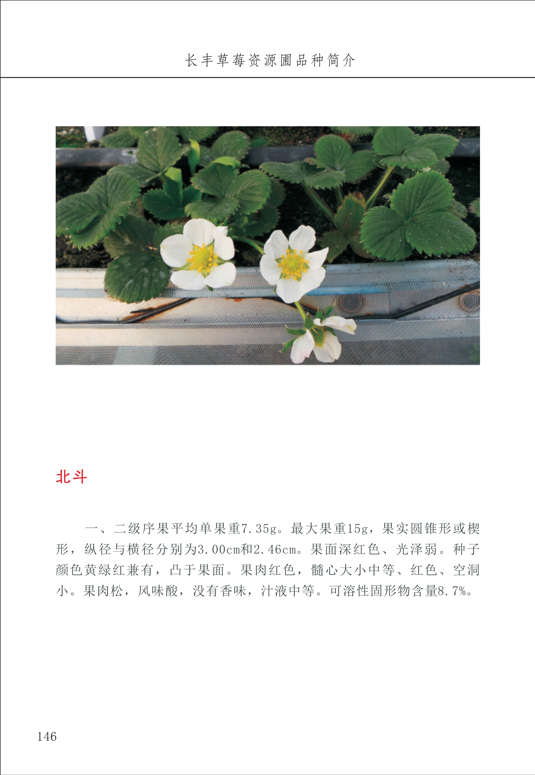 長(zhǎng)豐農(nóng)技中心2_46.jpg