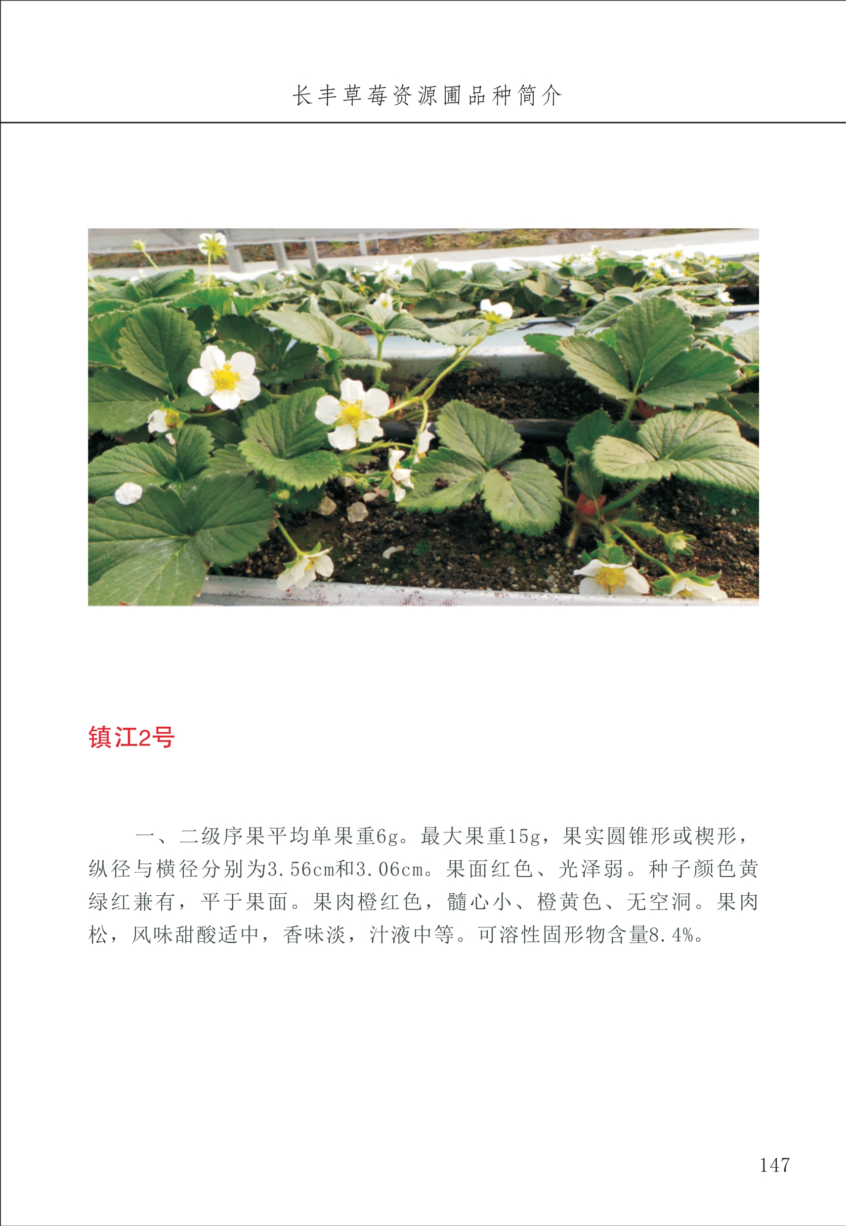 長(zhǎng)豐農(nóng)技中心2_47.jpg