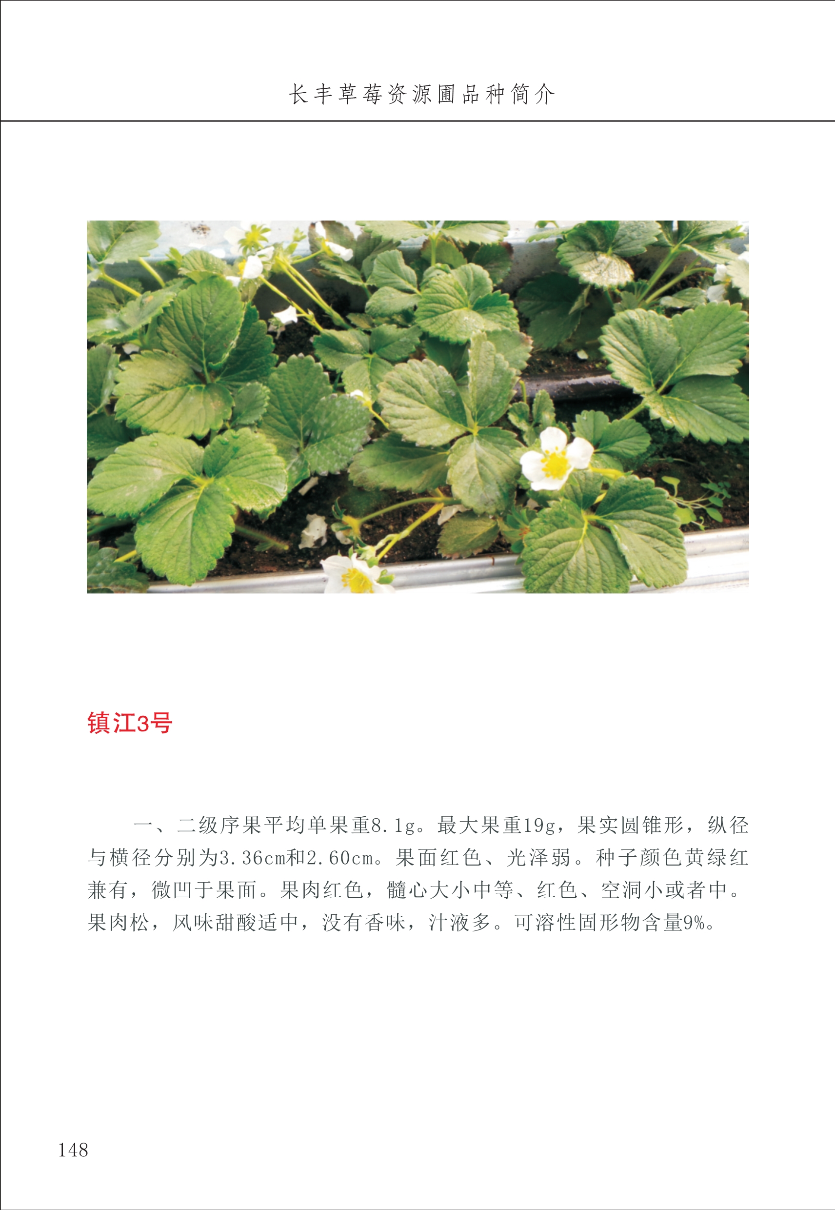長豐農(nóng)技中心2_48.jpg