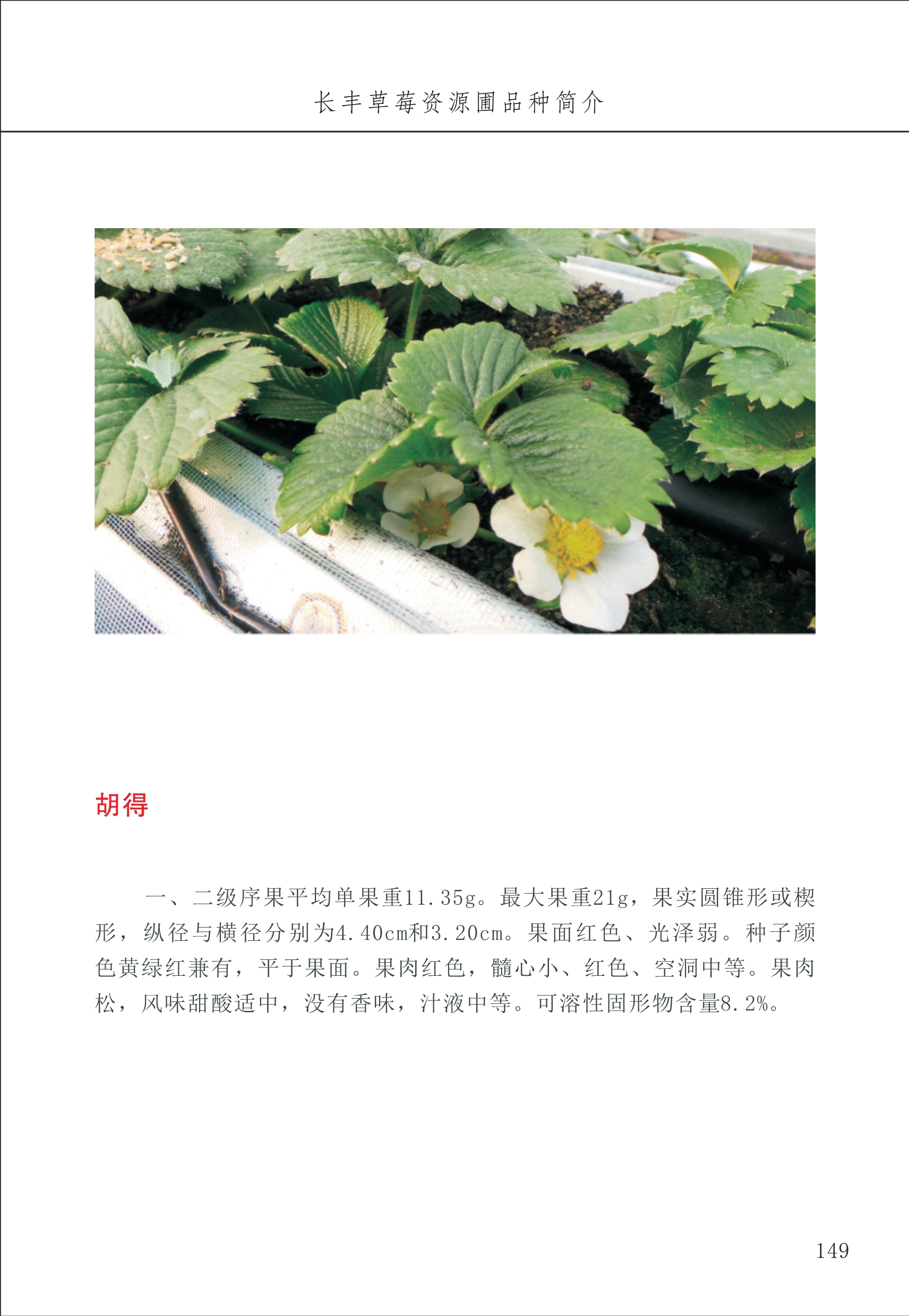 長豐農(nóng)技中心2_49.jpg
